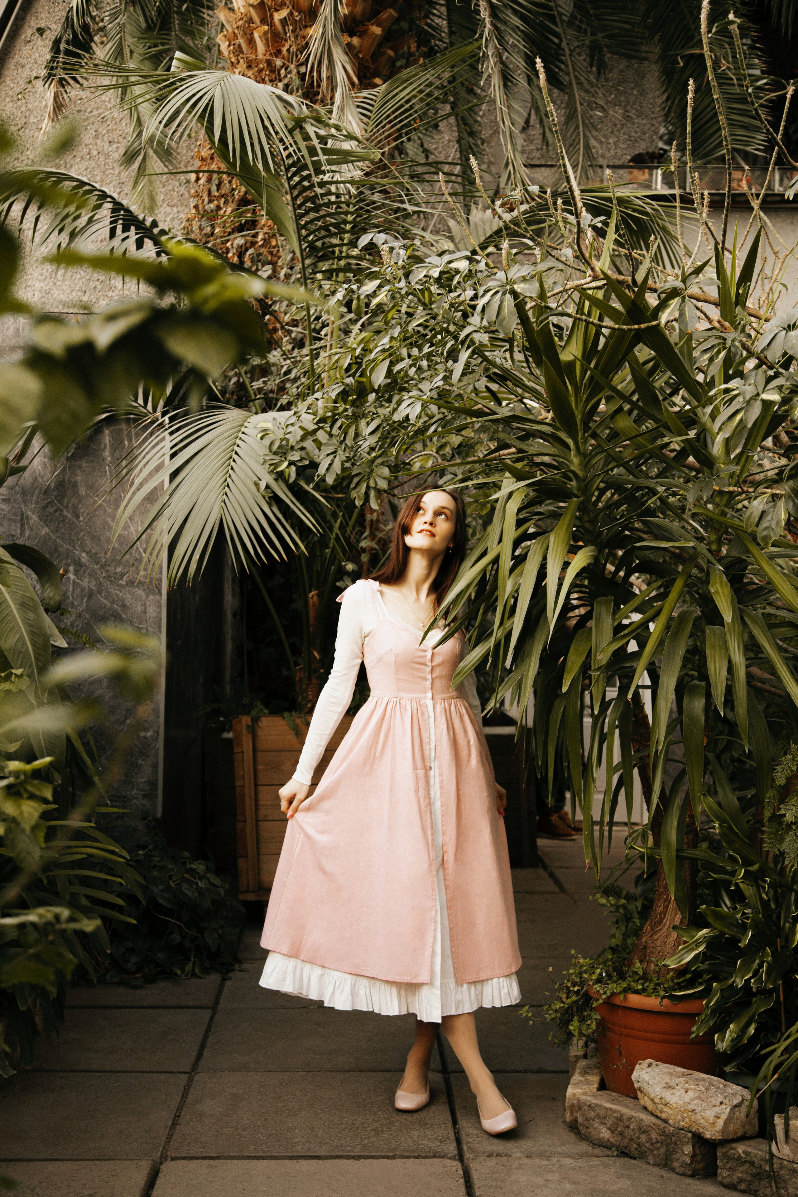 Оранжерея Таврического сада