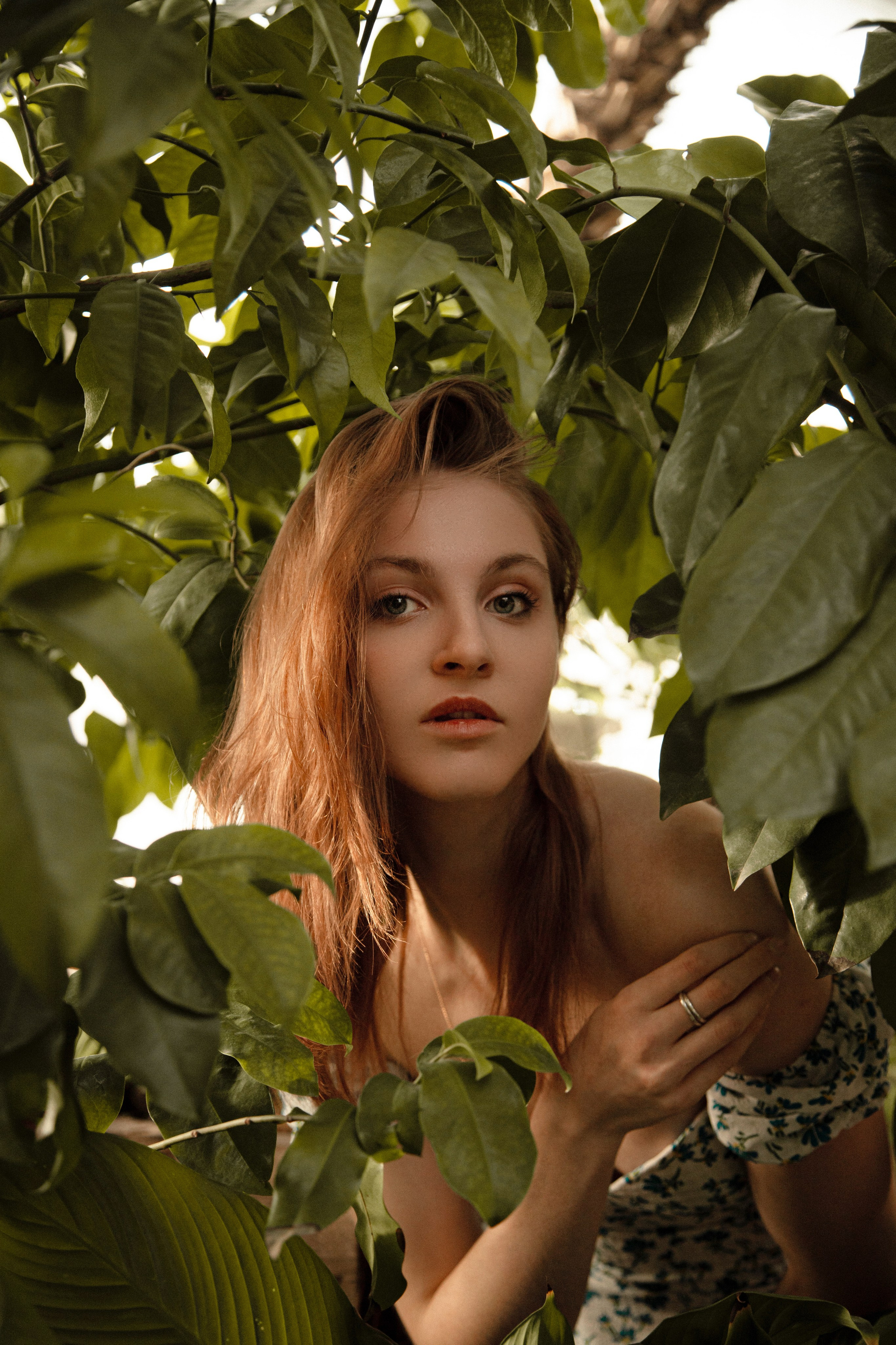 Оранжерея Таврического сада