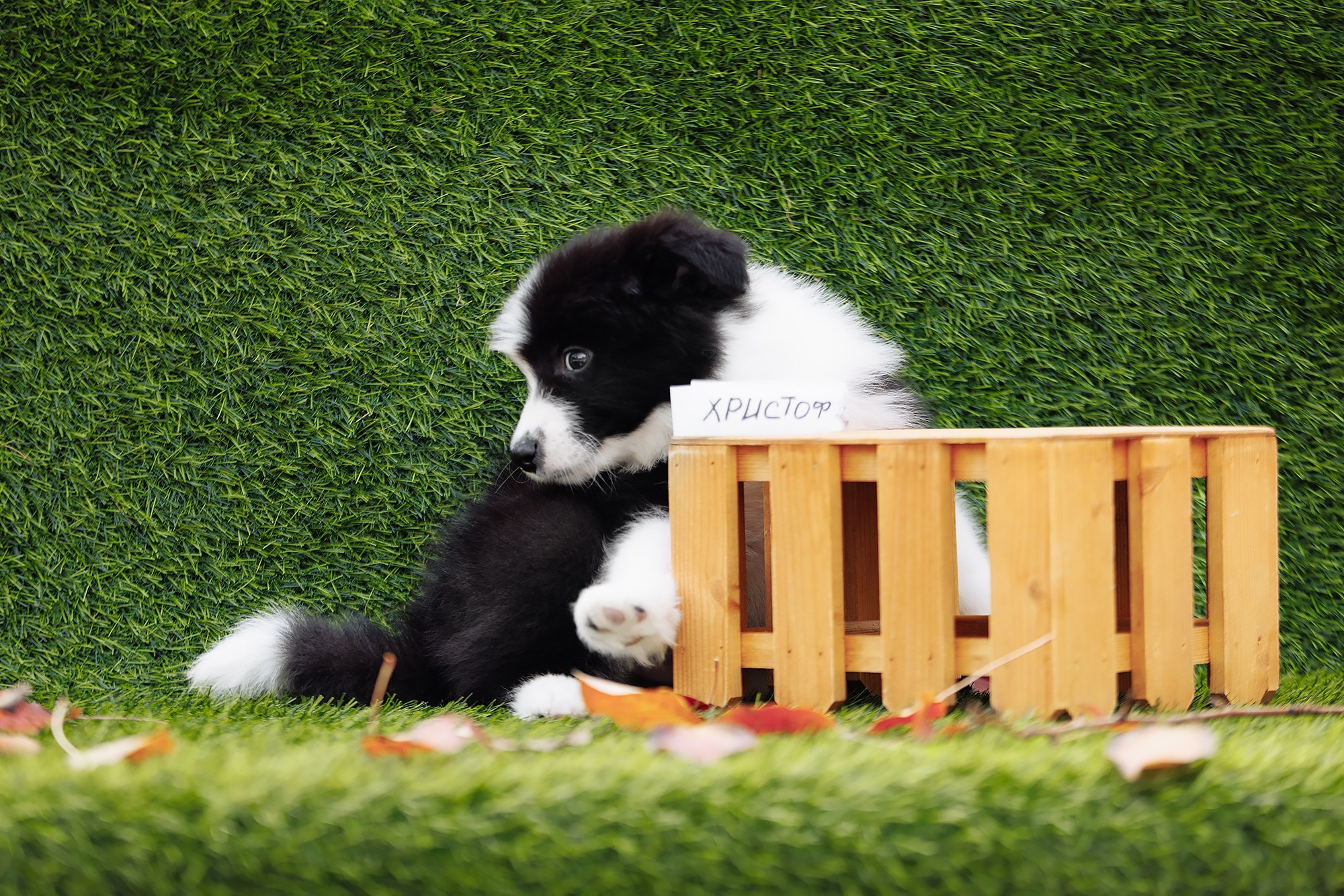 Новый лист. О нас