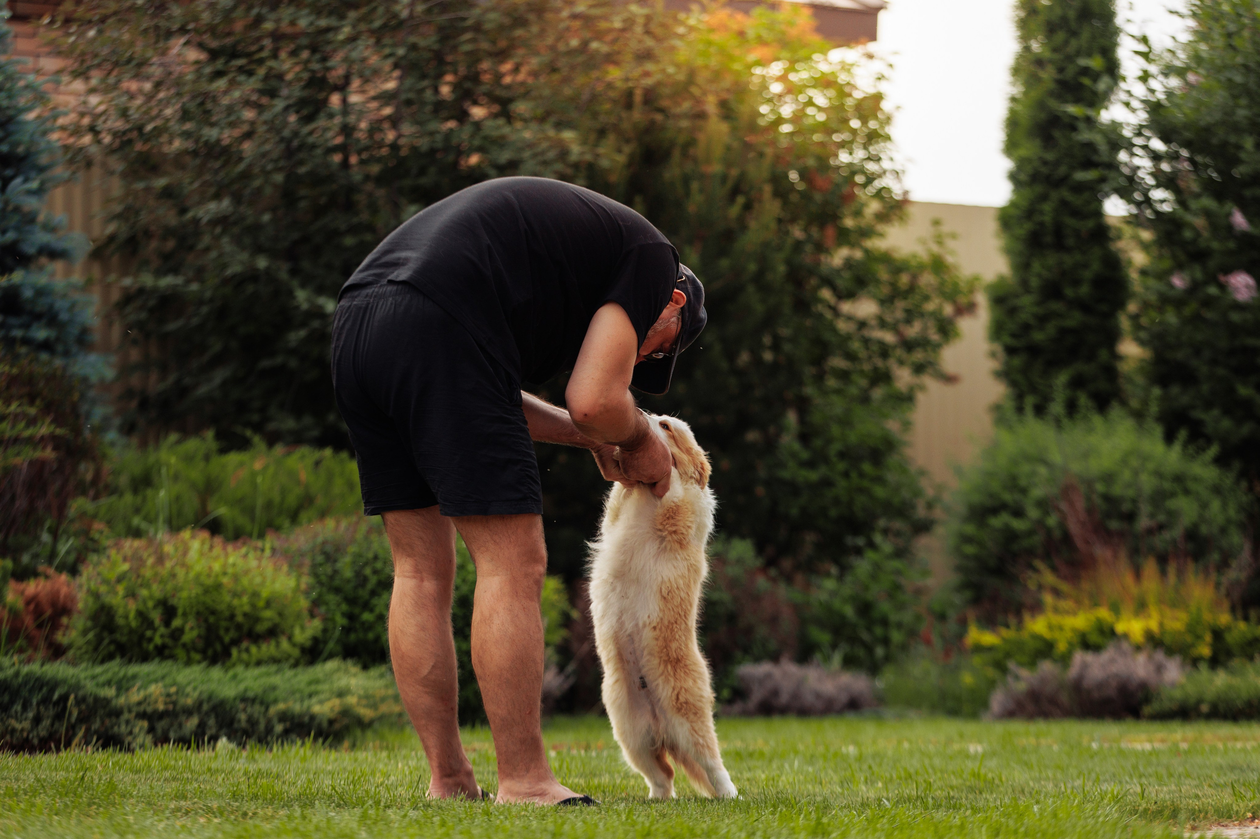 СОлнечные. О нас