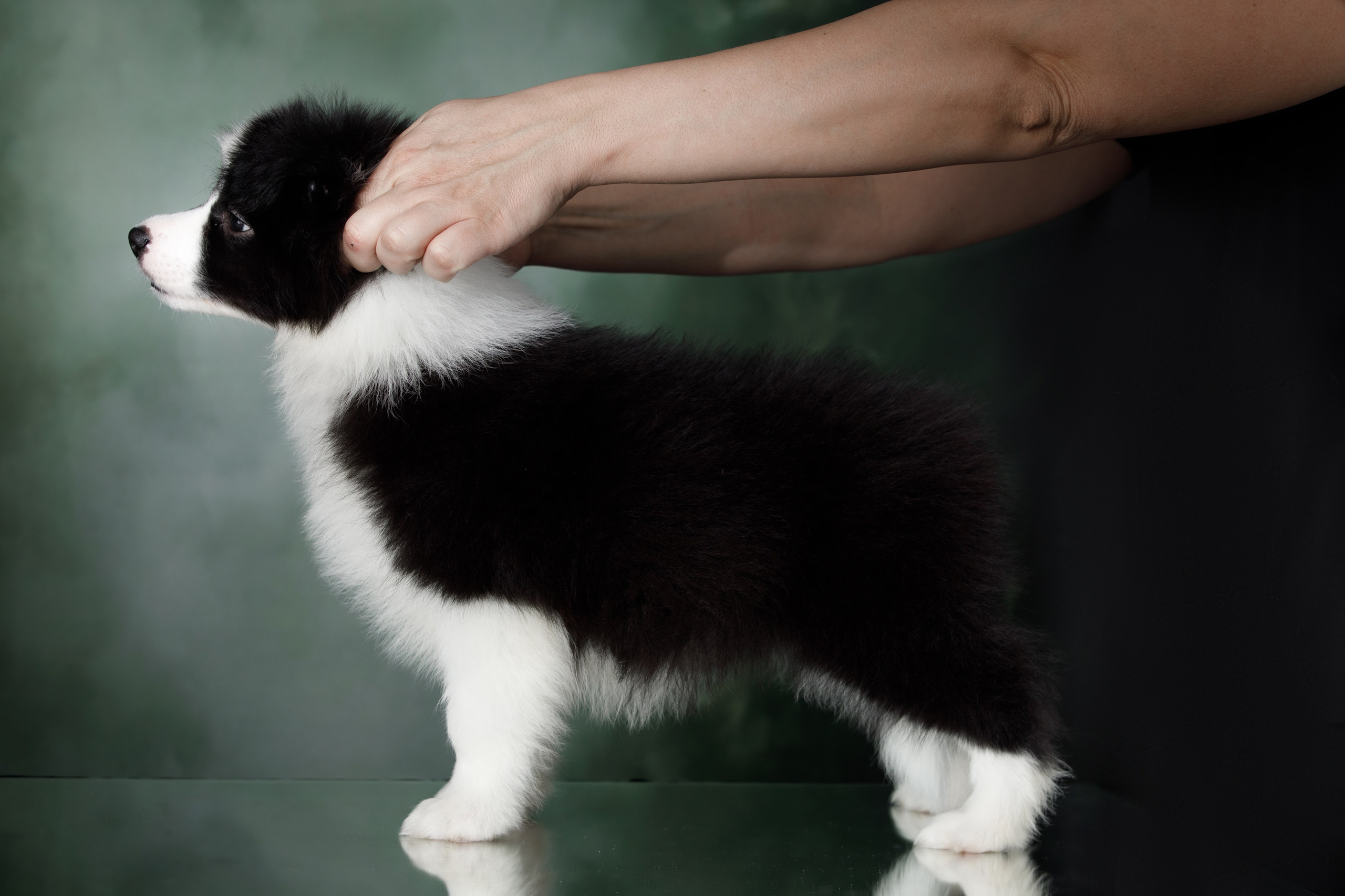 Март. Весна. 22. О нас