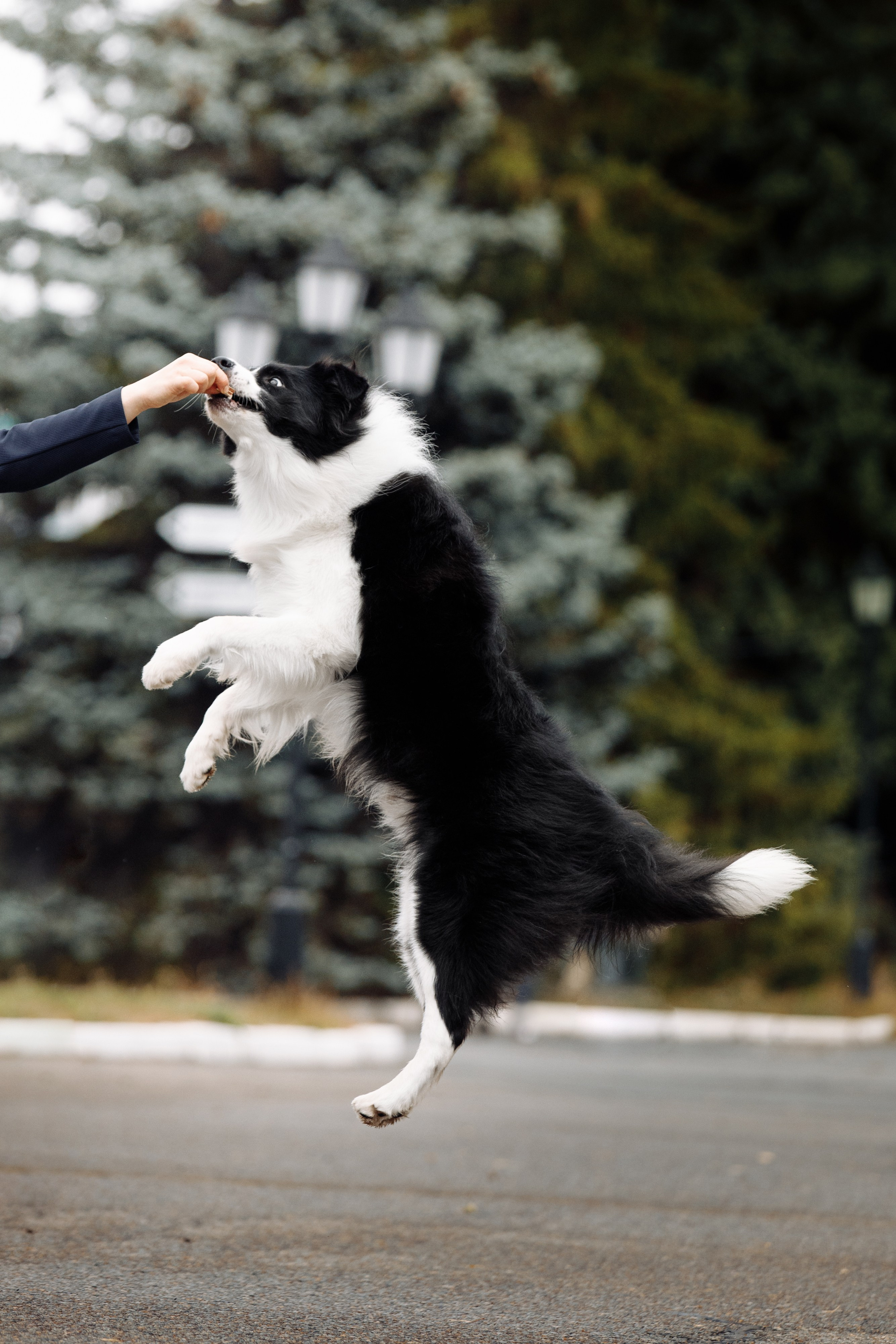 Казань. О нас