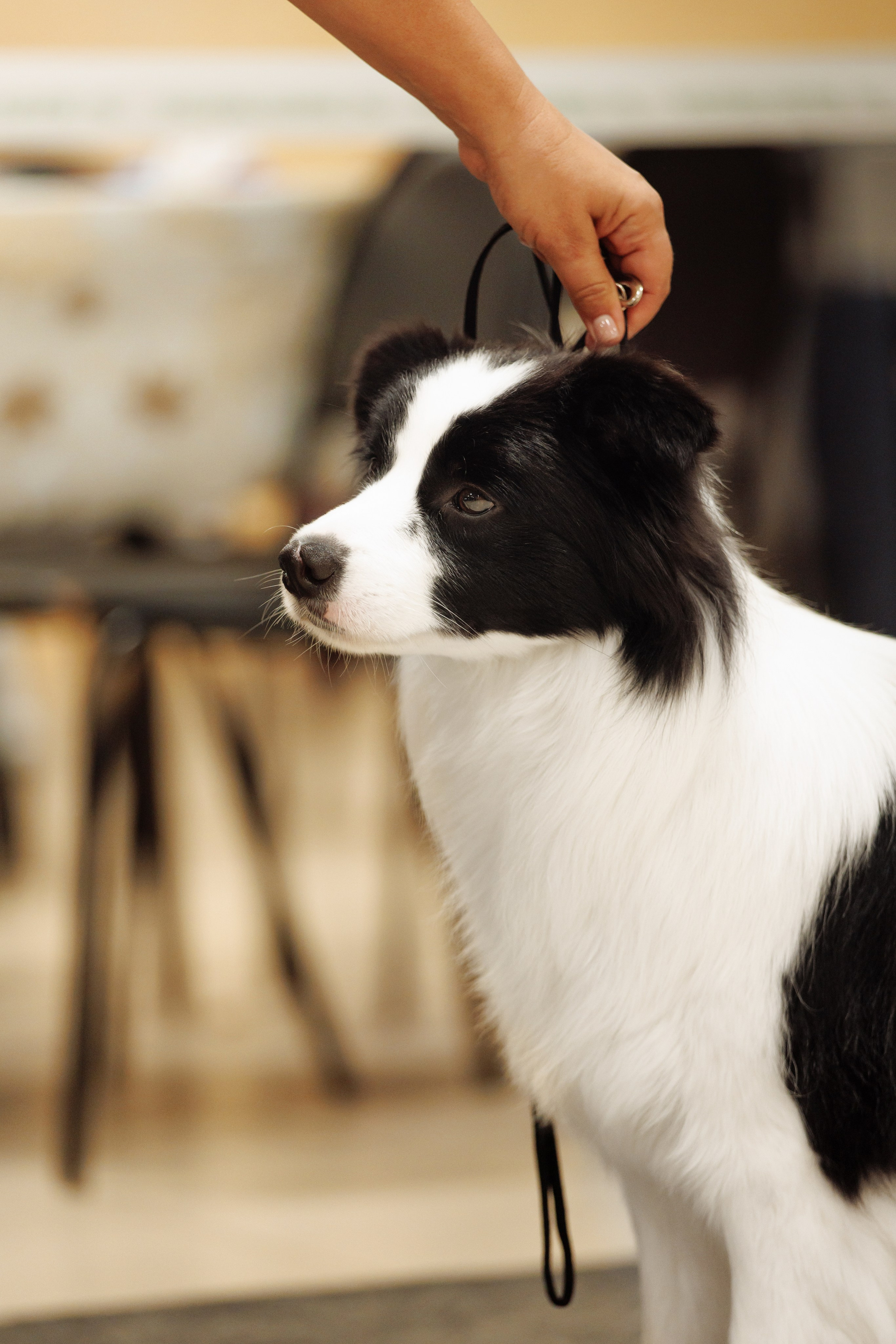 Выставка октября в Оренбурге. О нас