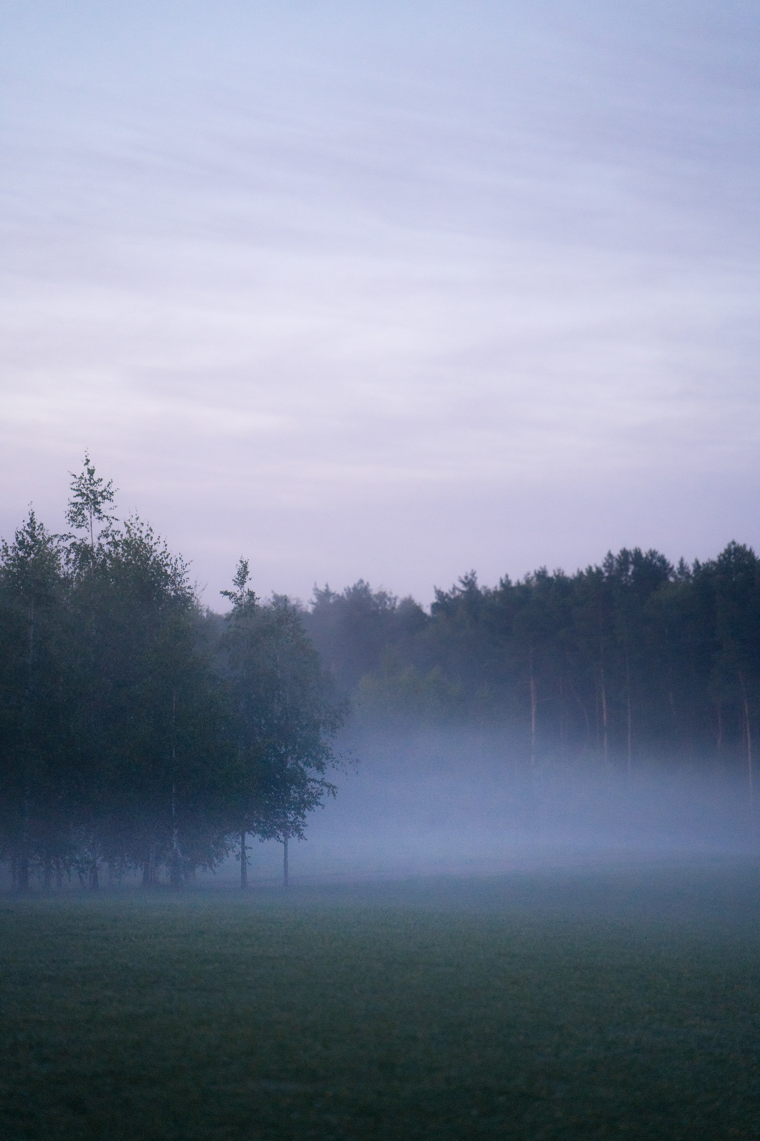 Катя, Сергей и Флинт. Фотограф анималист в Москве и Санкт-Петербурге Свиридова Анна