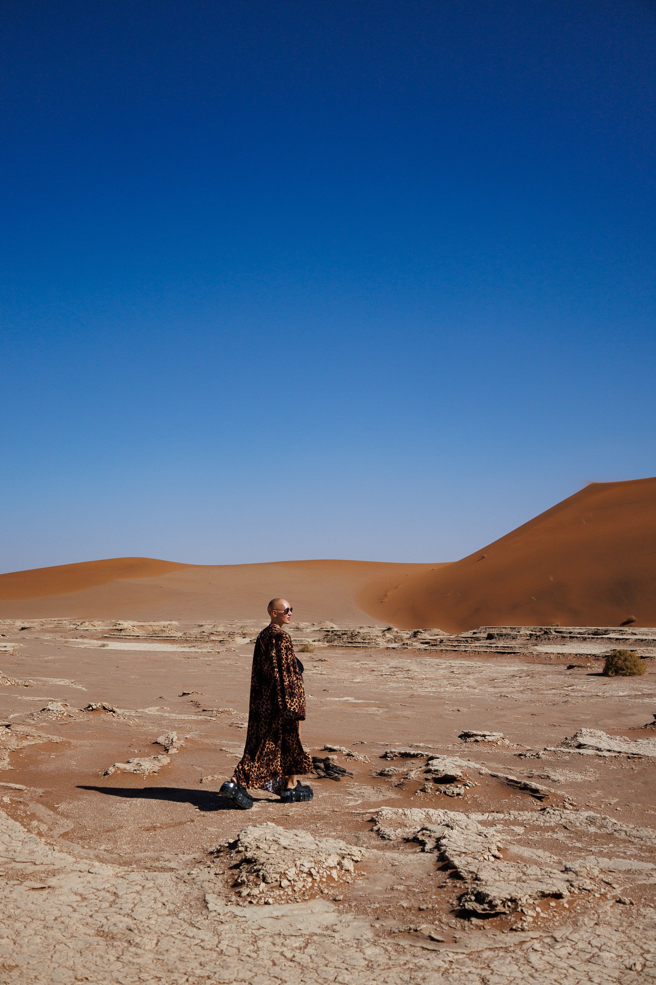 Путешествия