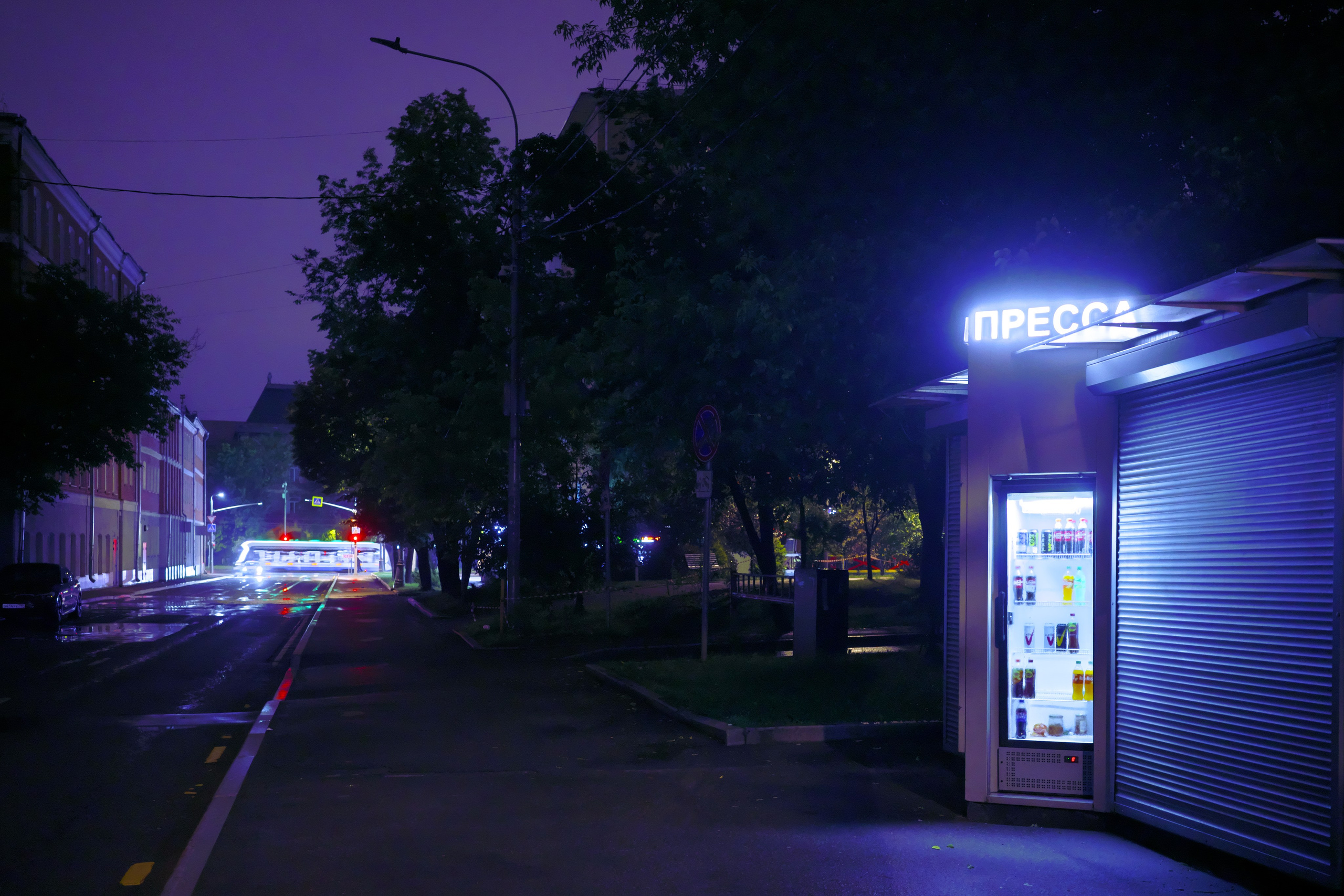 После дождя 🌧️. Миша Печёнкин | фотография