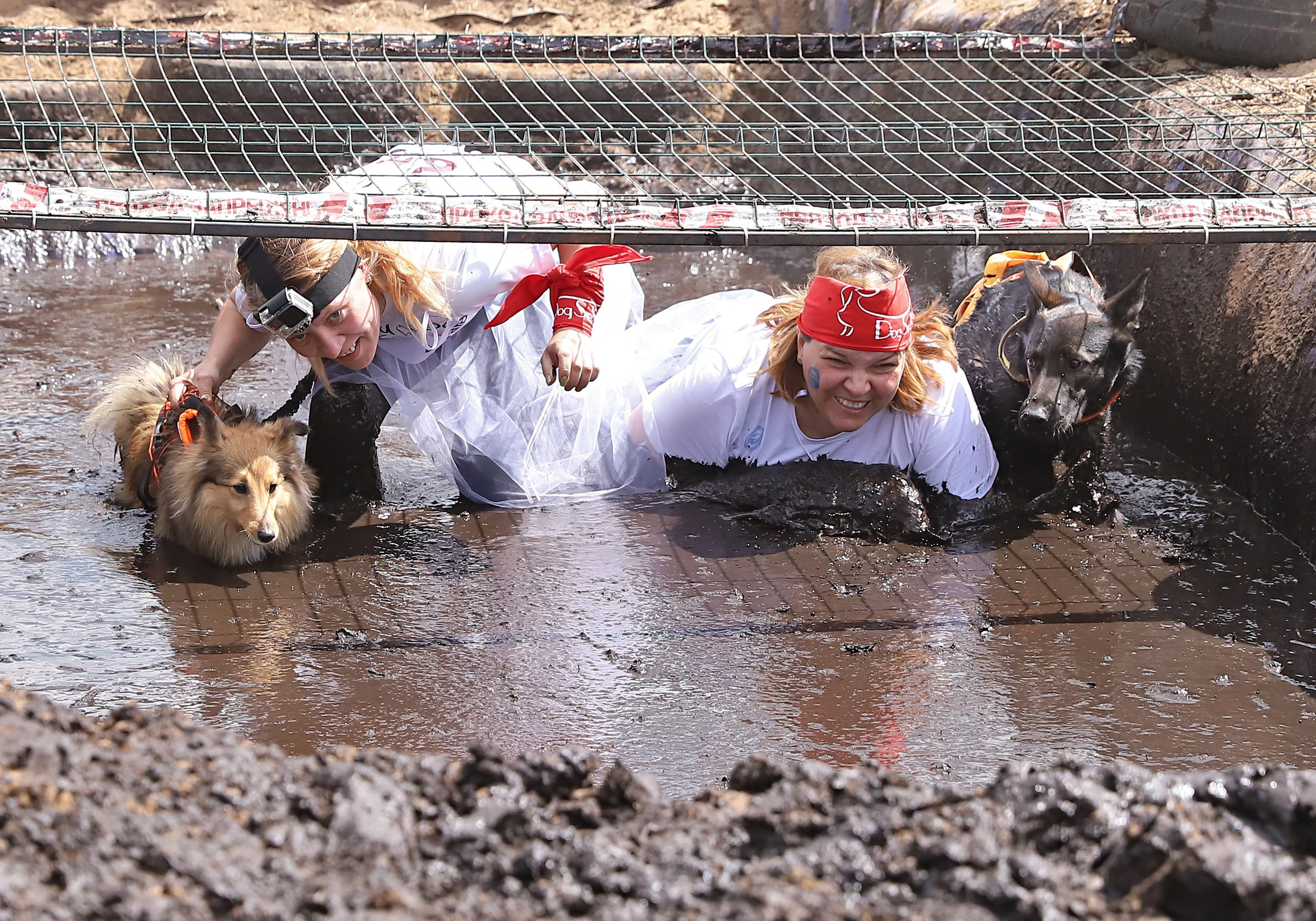 Хвостатый драйв. Семейный и детский фотограф в Москве и МО Елена Москвичева