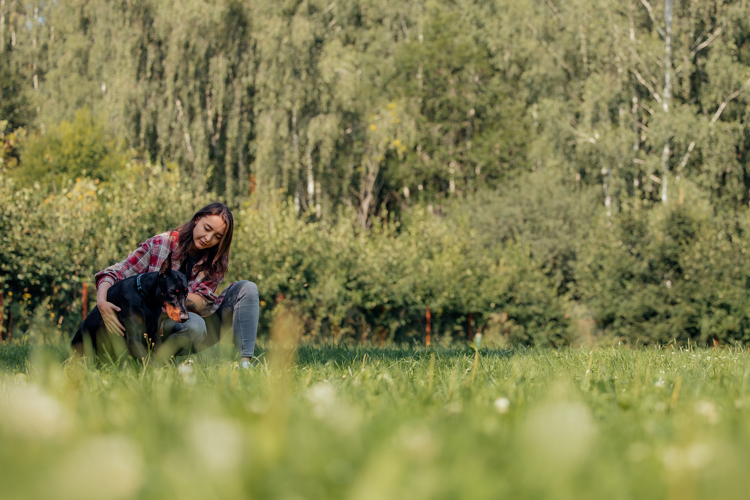 Доберман Айза. Фотограф Анималист в Москве Анастасия Жучкова