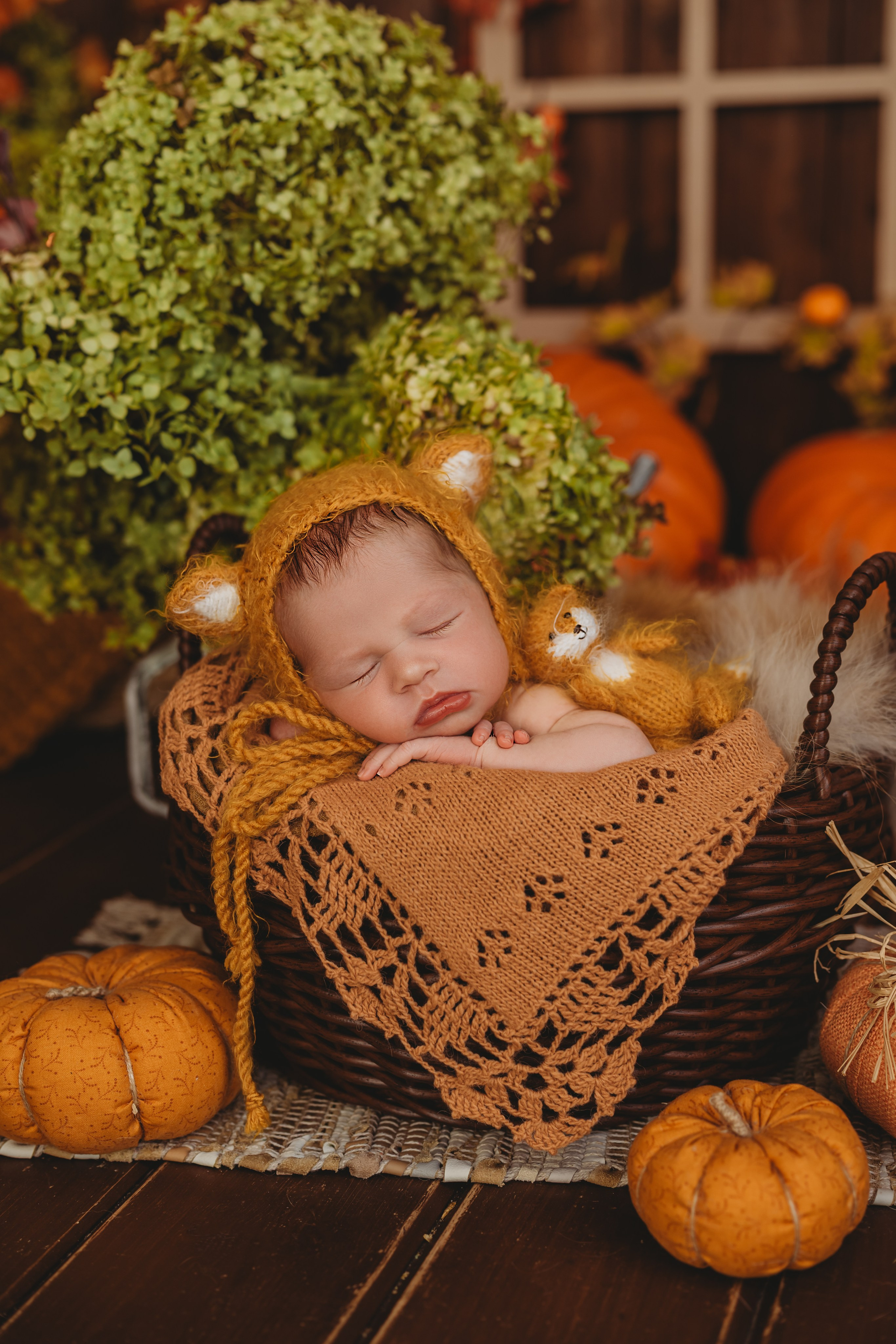 Новорожденные. Фотограф новорожденных во Владимире Анастасия Воробьева