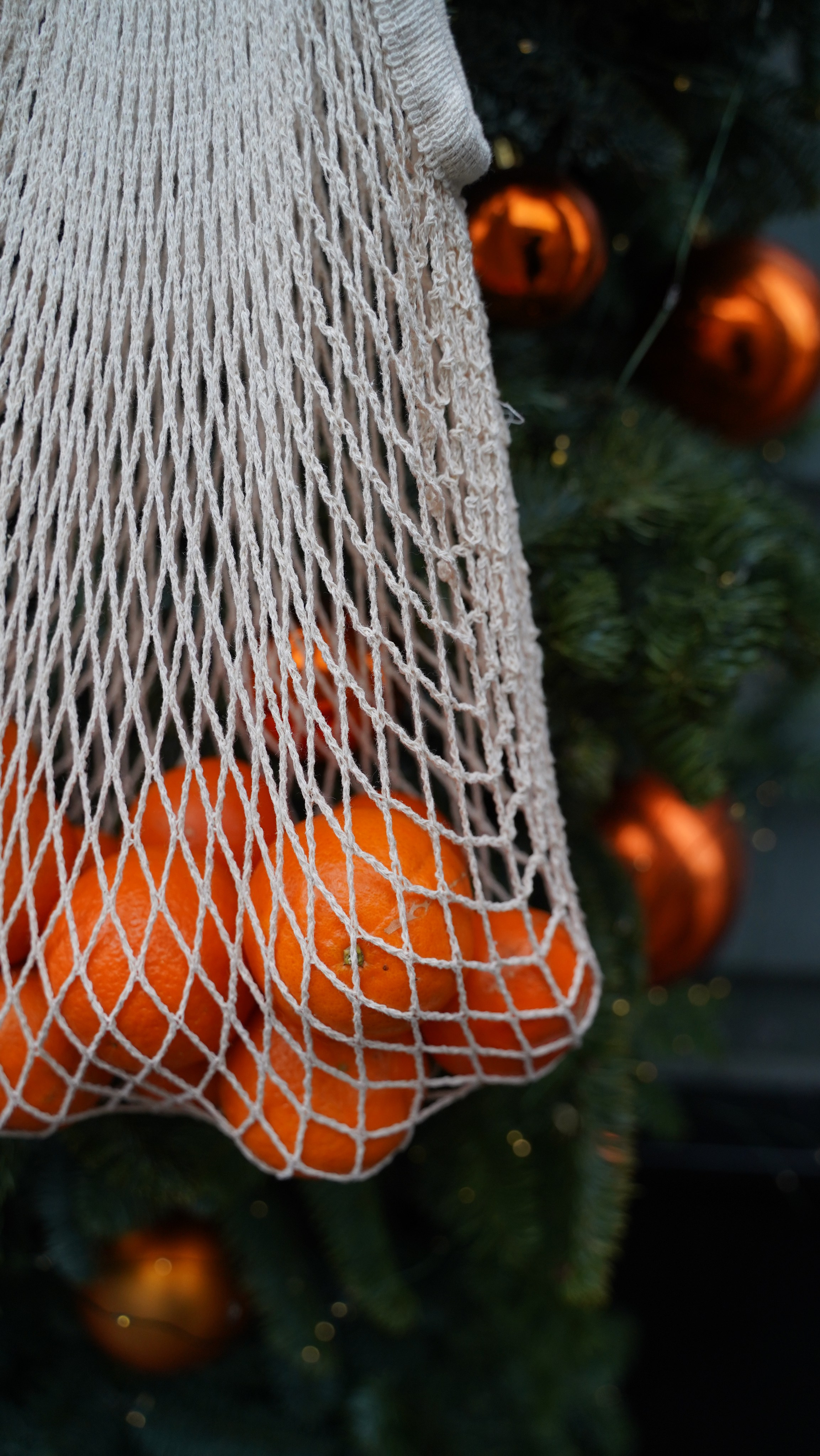 Новогодние съемки. Добро пожаловать в мир самого прекрасного — в мир фотографии!