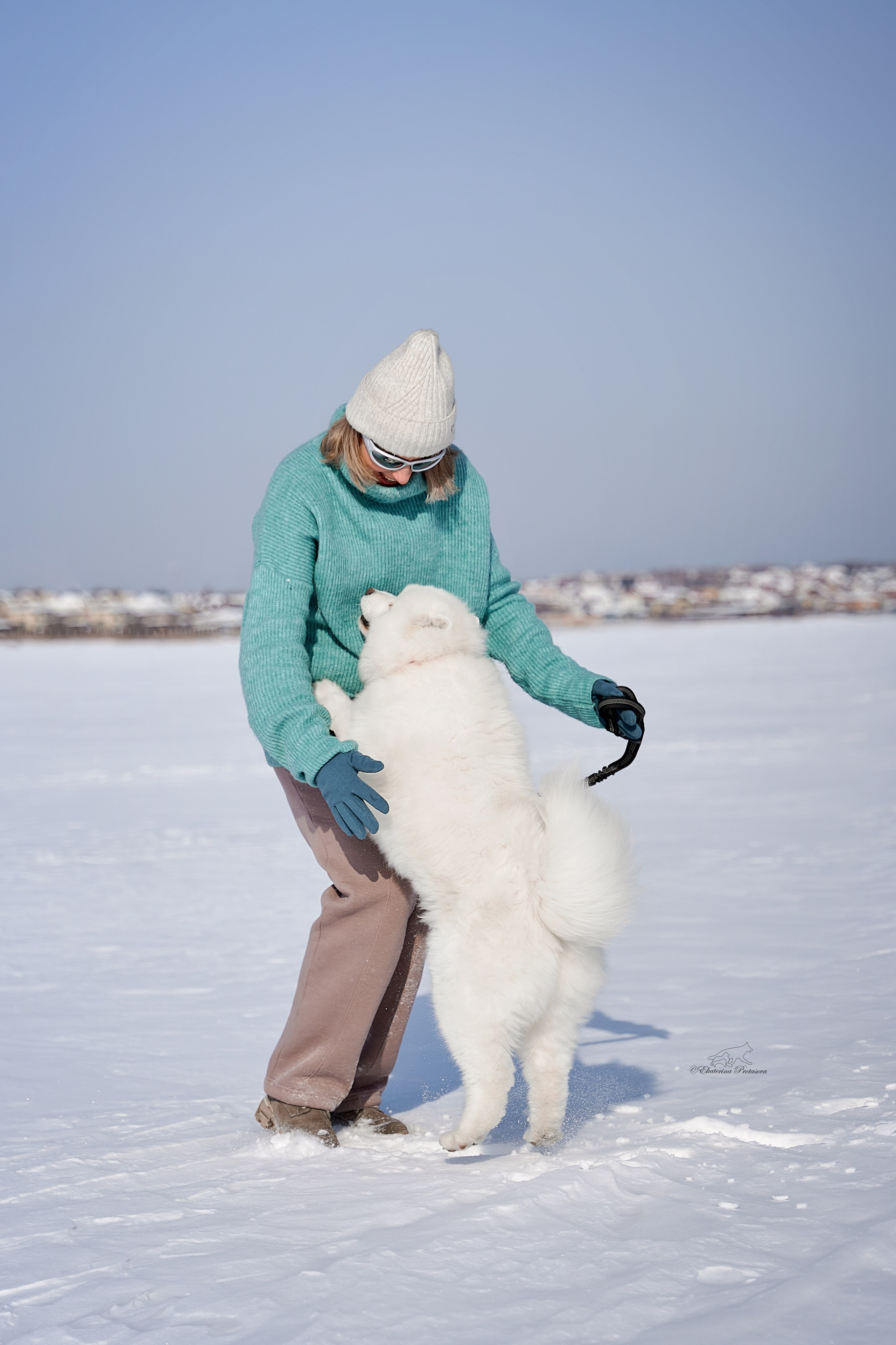 Самоед Юта. Фотограф-анималист в Иркутске