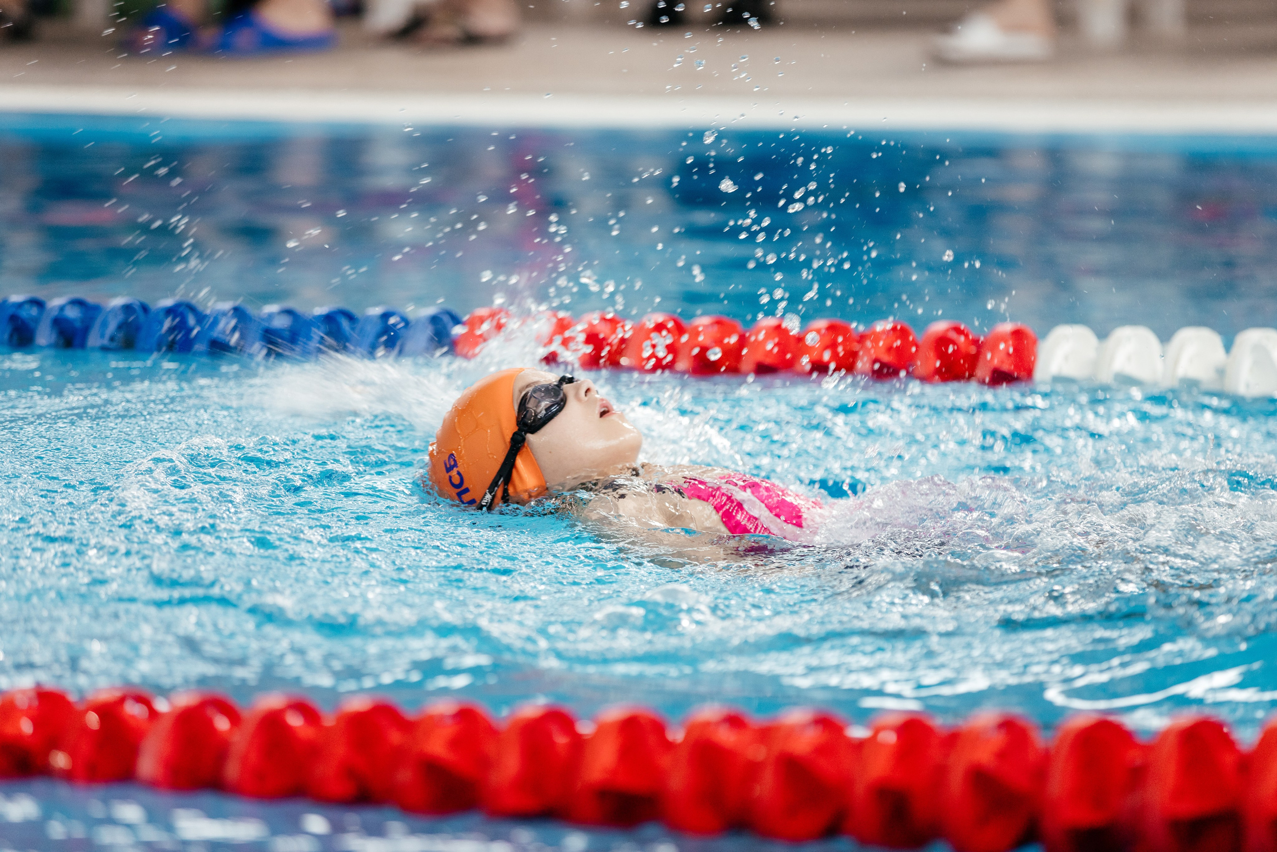 Спорт. Концертный и спортивный фотограф в Липецке