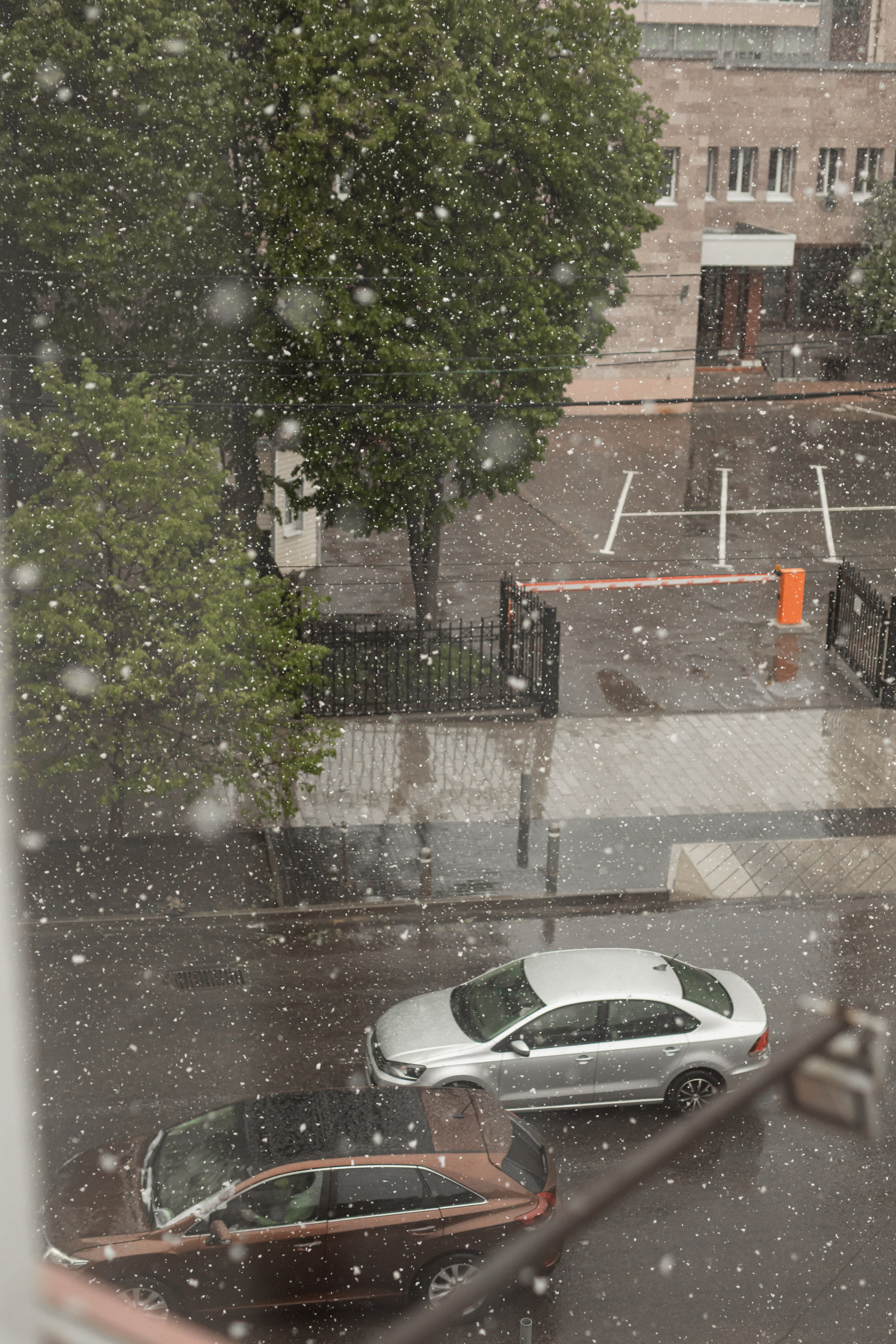 L & L. Марина Занина — Семейный фотограф г. Воронеж