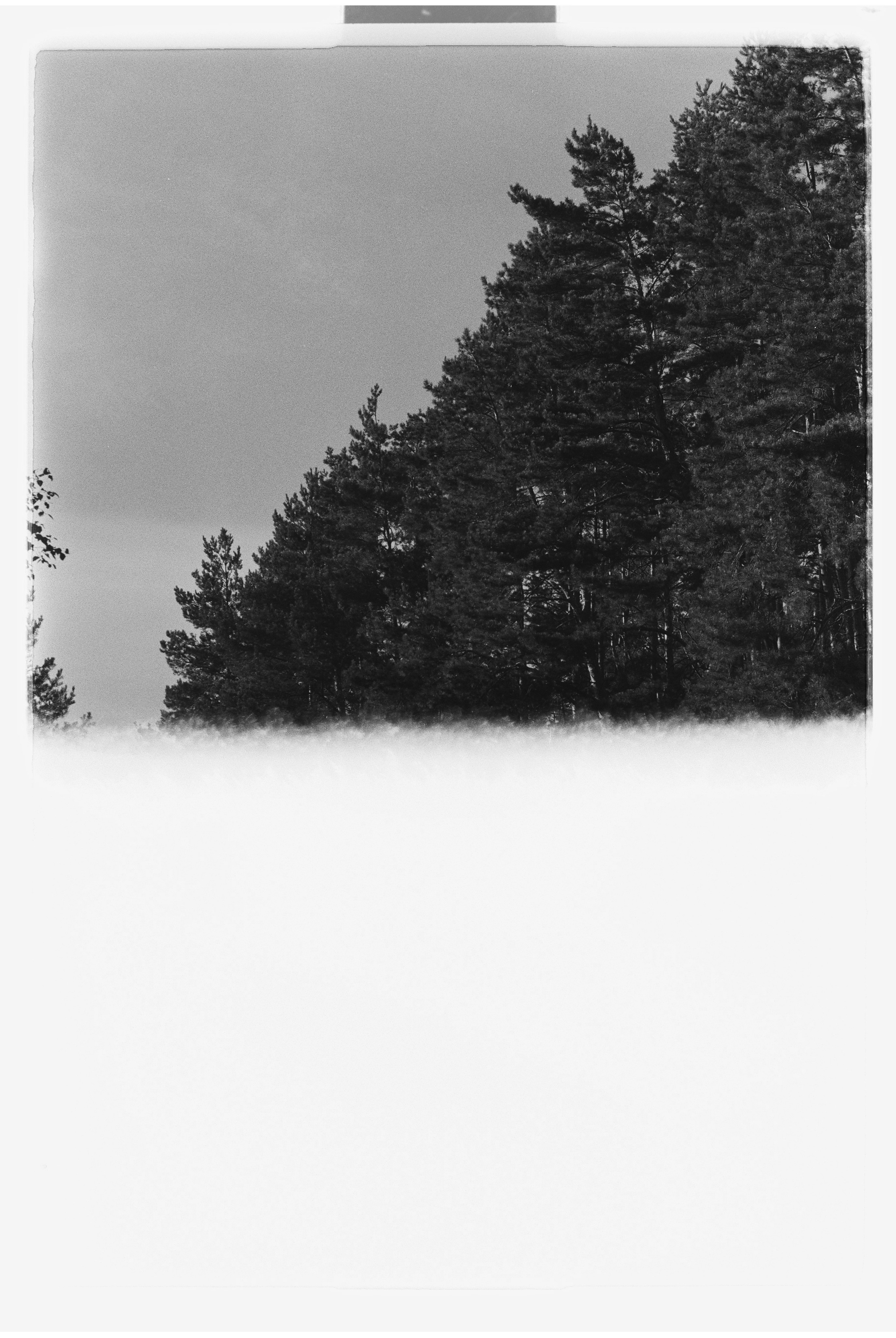 Nizhniy Novgorod. ANNA — PHOTOGRAPHER