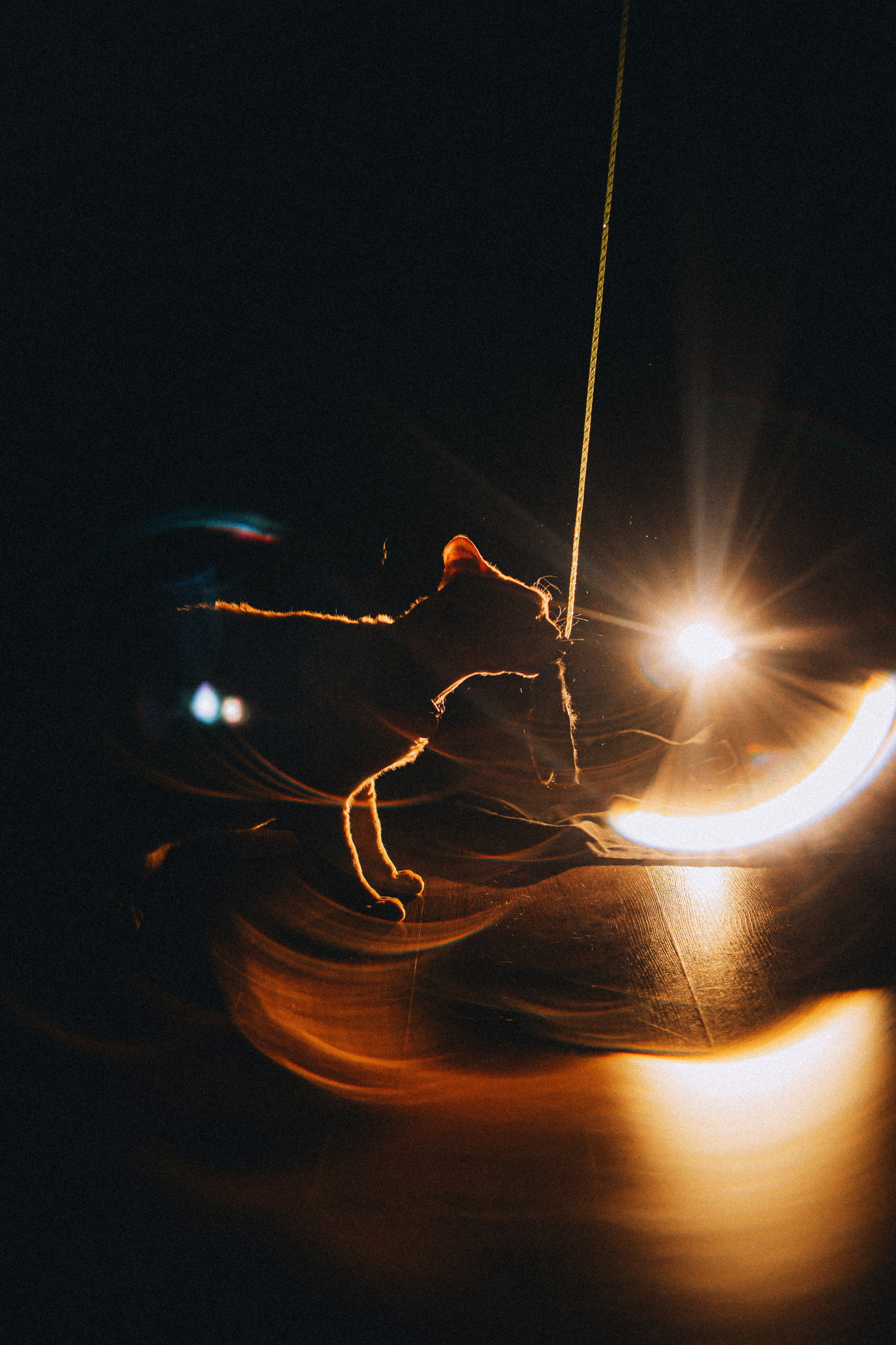 Гречка, Ковш и их семья