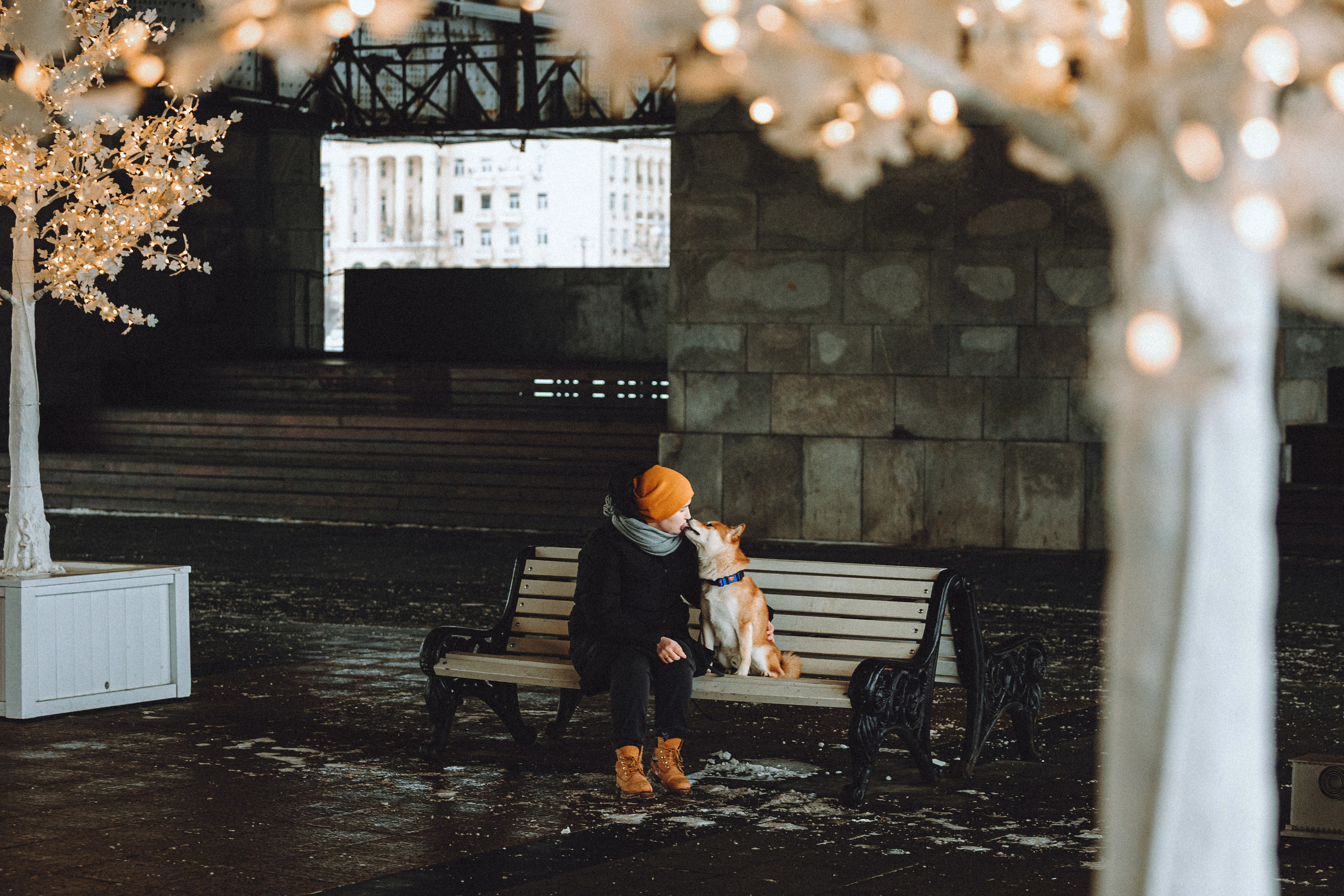 Настя и Ронин