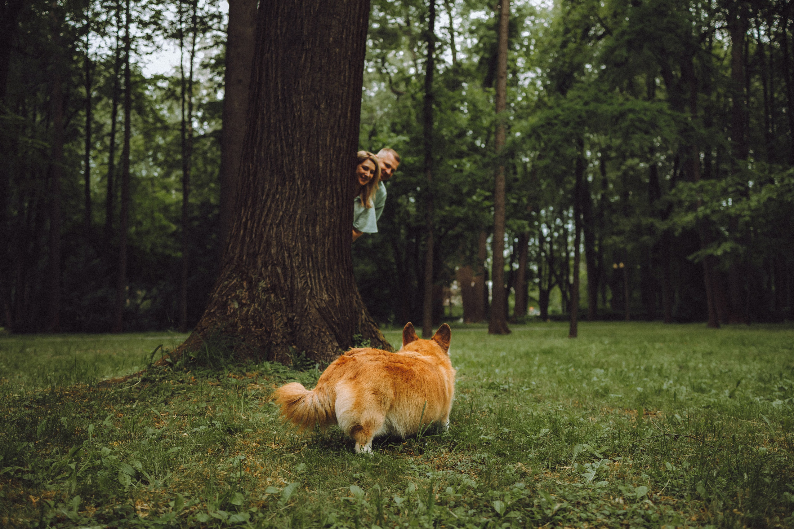 Ира, Леша и Харли