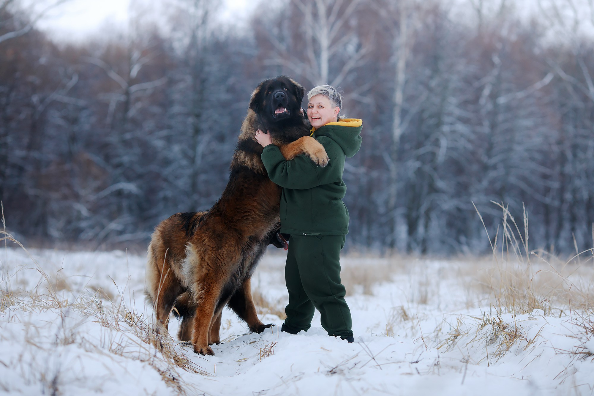 Леоненбергеры. Фотограф-анималист Mary Mart — Москва, Питер