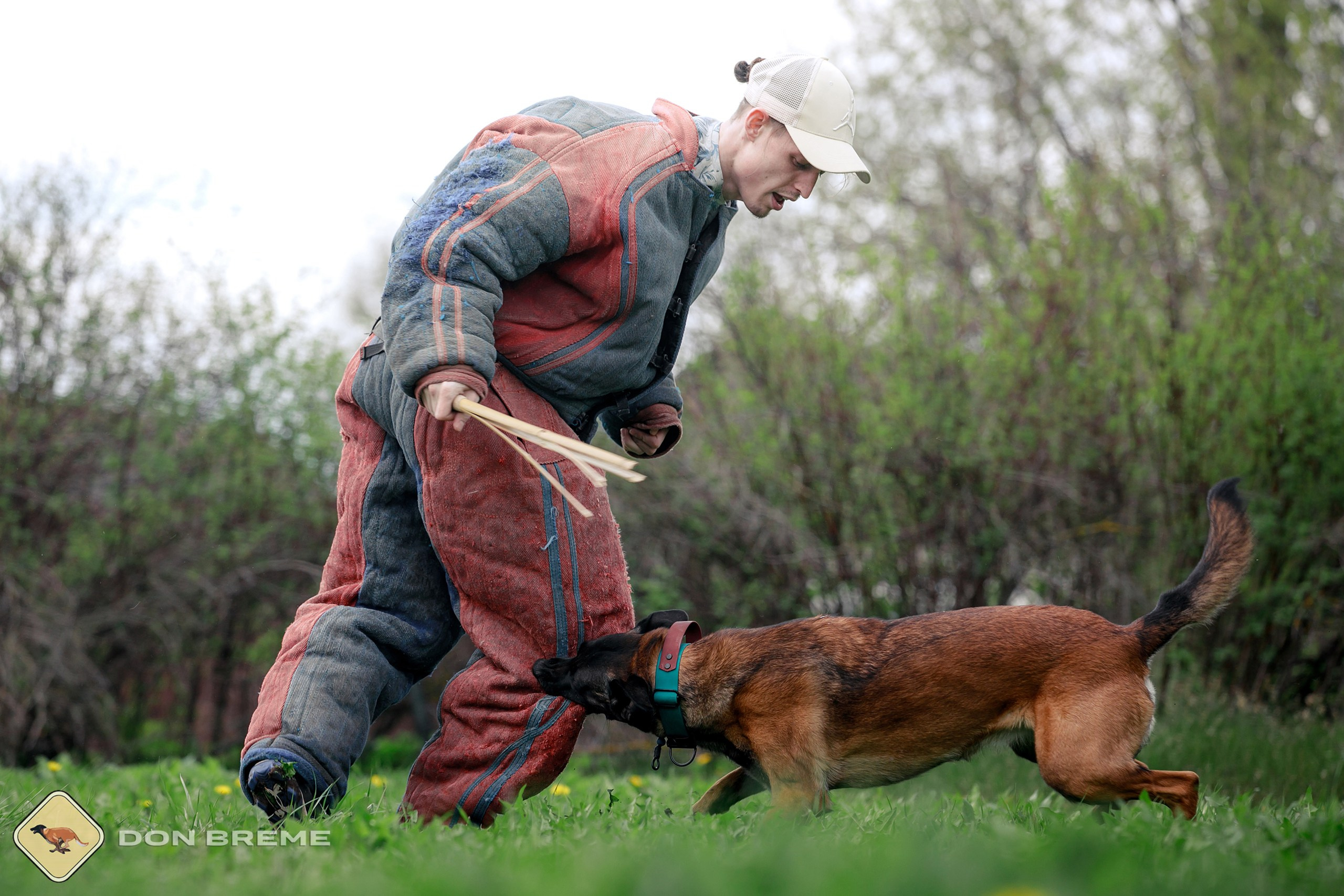 Семинар для фигурантов, день 2. Фотограф-анималист Mary Mart — Москва, Питер