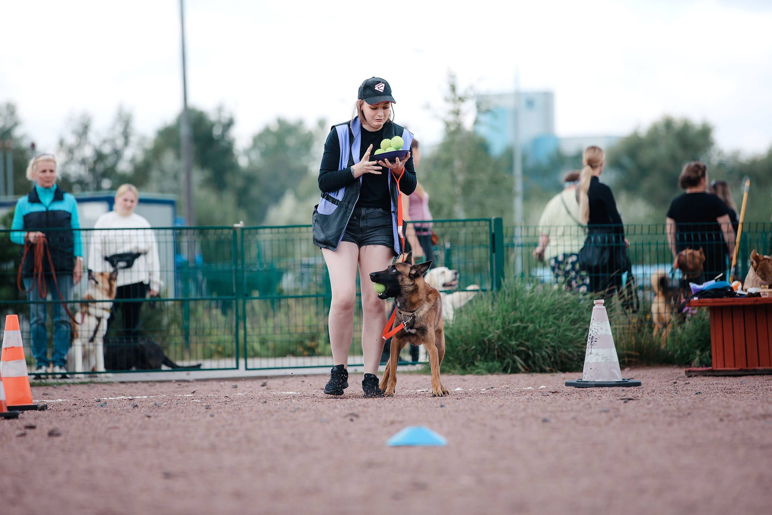 Питч&Гоу + веселые старты. Фотограф-анималист Mary Mart — Москва, Питер