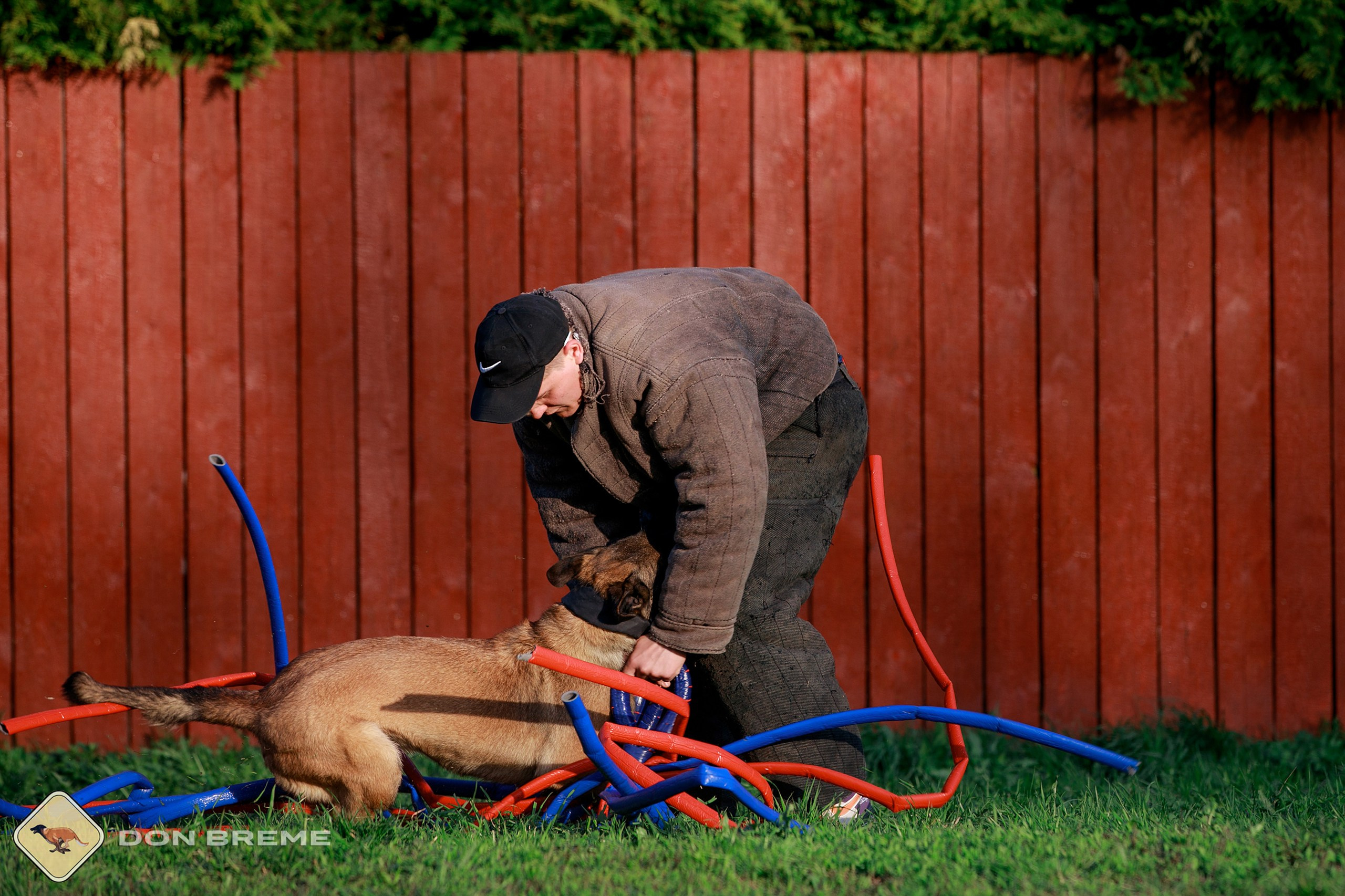 Семинар для фигурантов, день 4. Фотограф-анималист Mary Mart — Москва, Питер