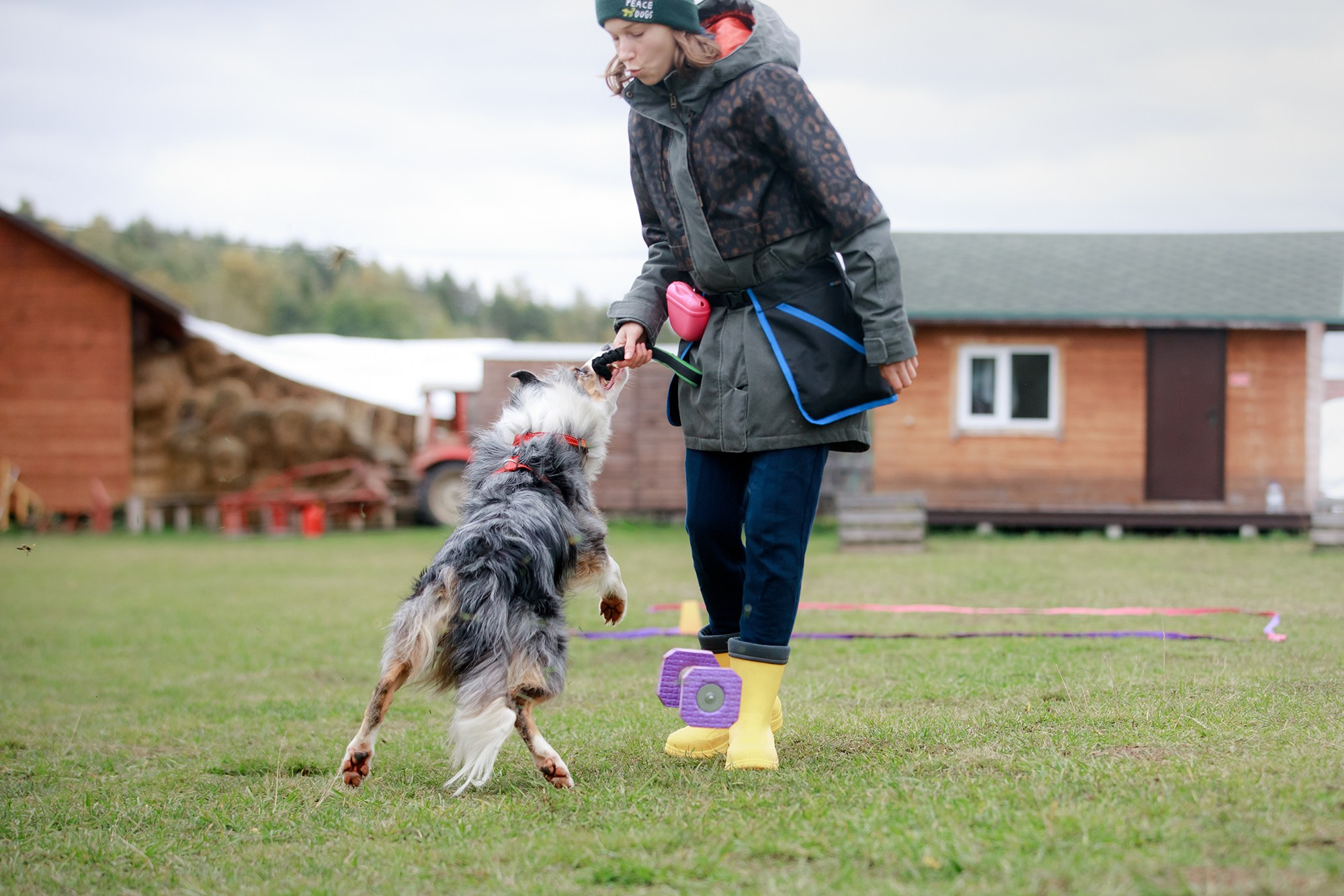 Лагерь по ОБД с Инной Баженовой. Фотограф-анималист Mary Mart — Москва, Питер