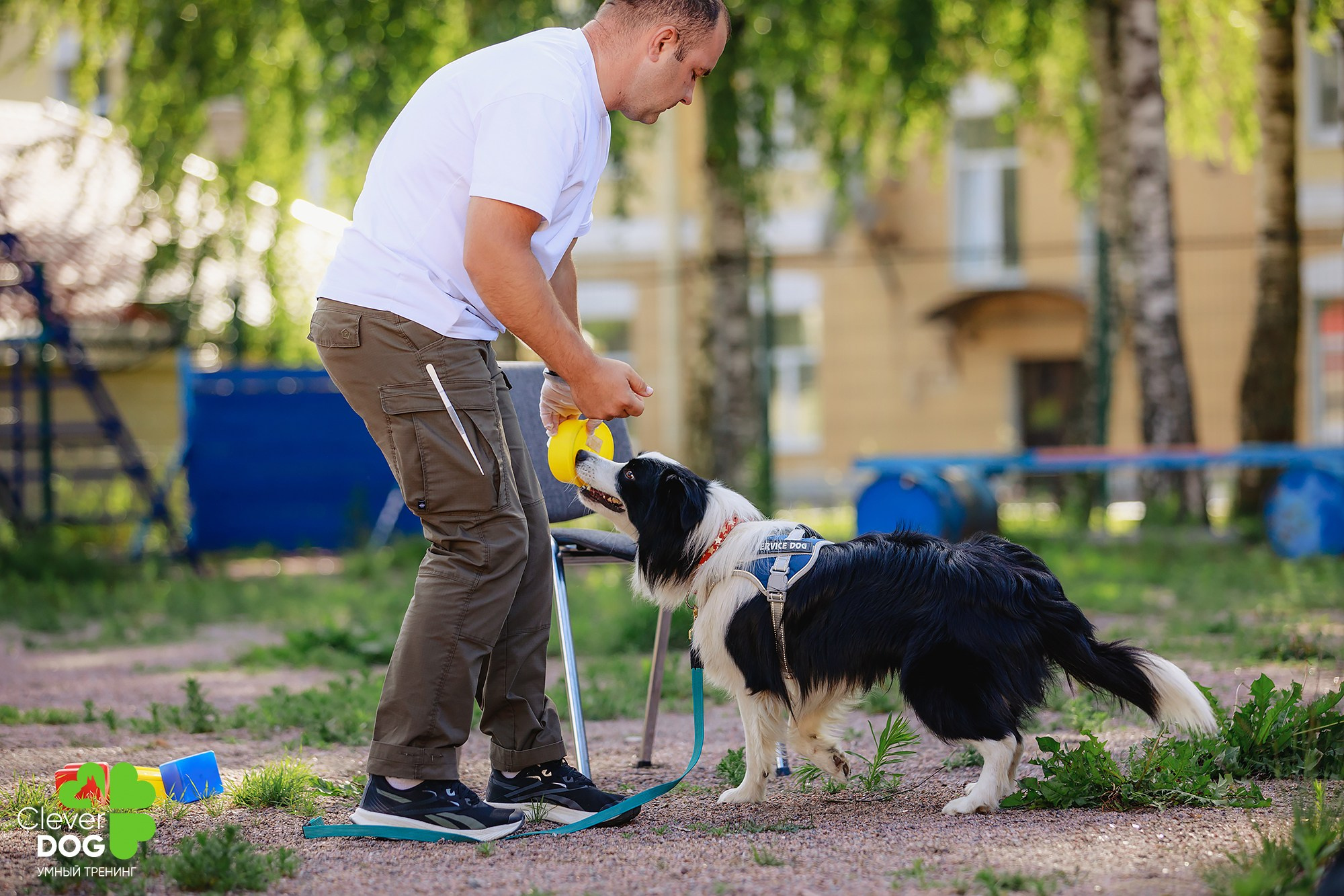 Семинар по поиску запаха с Иваном Ломовым, организатор CleverDog, СПб. Фотограф-анималист Mary Mart — Москва, Питер