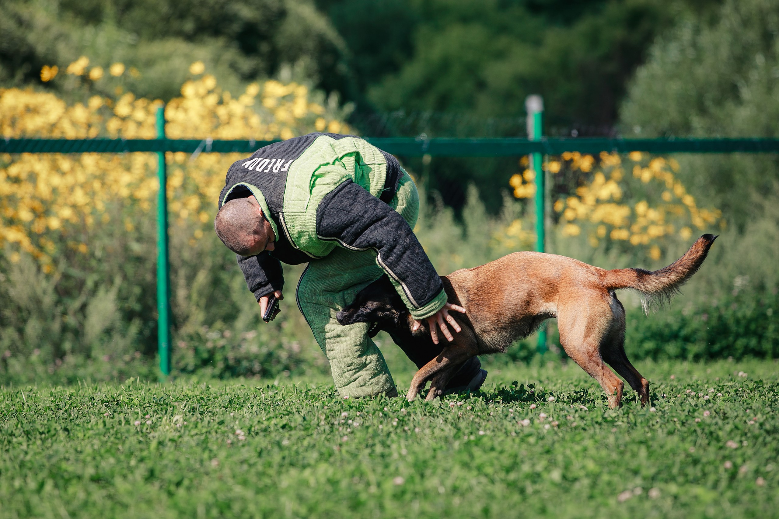 Мондьоринг М1, М2, М3, Вологда. Фотограф-анималист Mary Mart — Москва, Питер