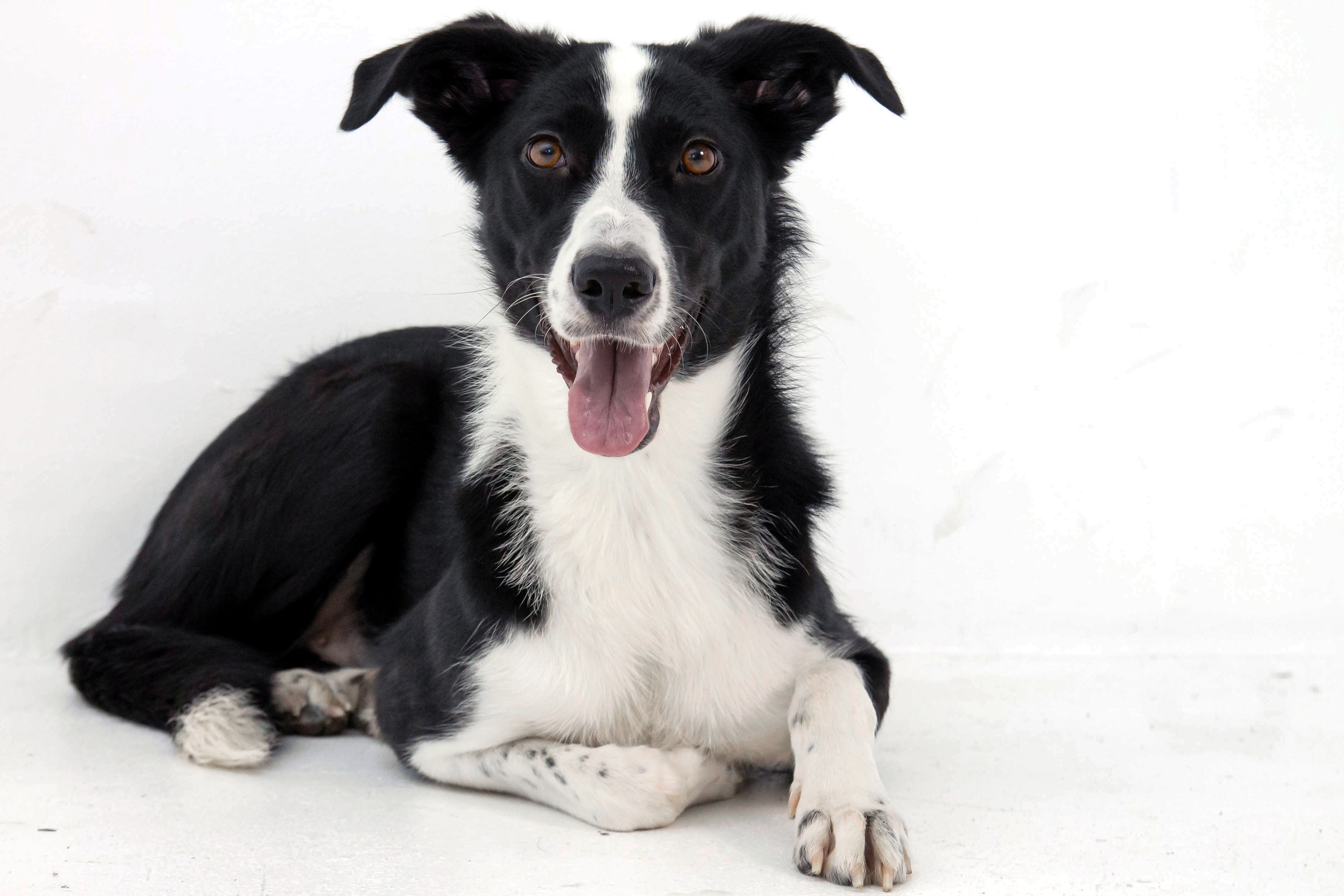 Студия. Фотограф Дарья Улюсова