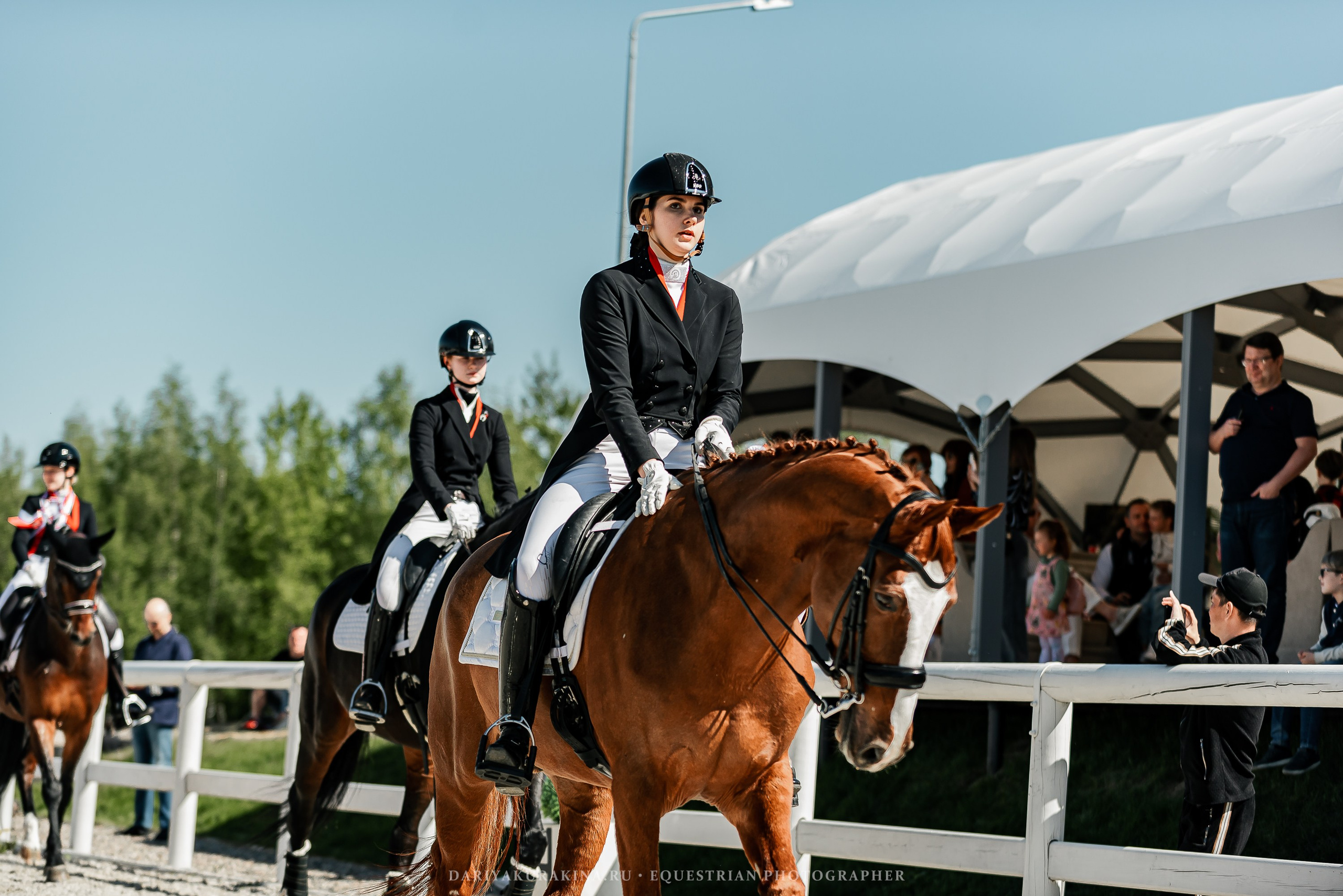 РЕПОРТАЖ МКК ВОЛЬТ «LA TULIPS». Конный фотограф Куракина Дарья • Фотосессии с лошадьми