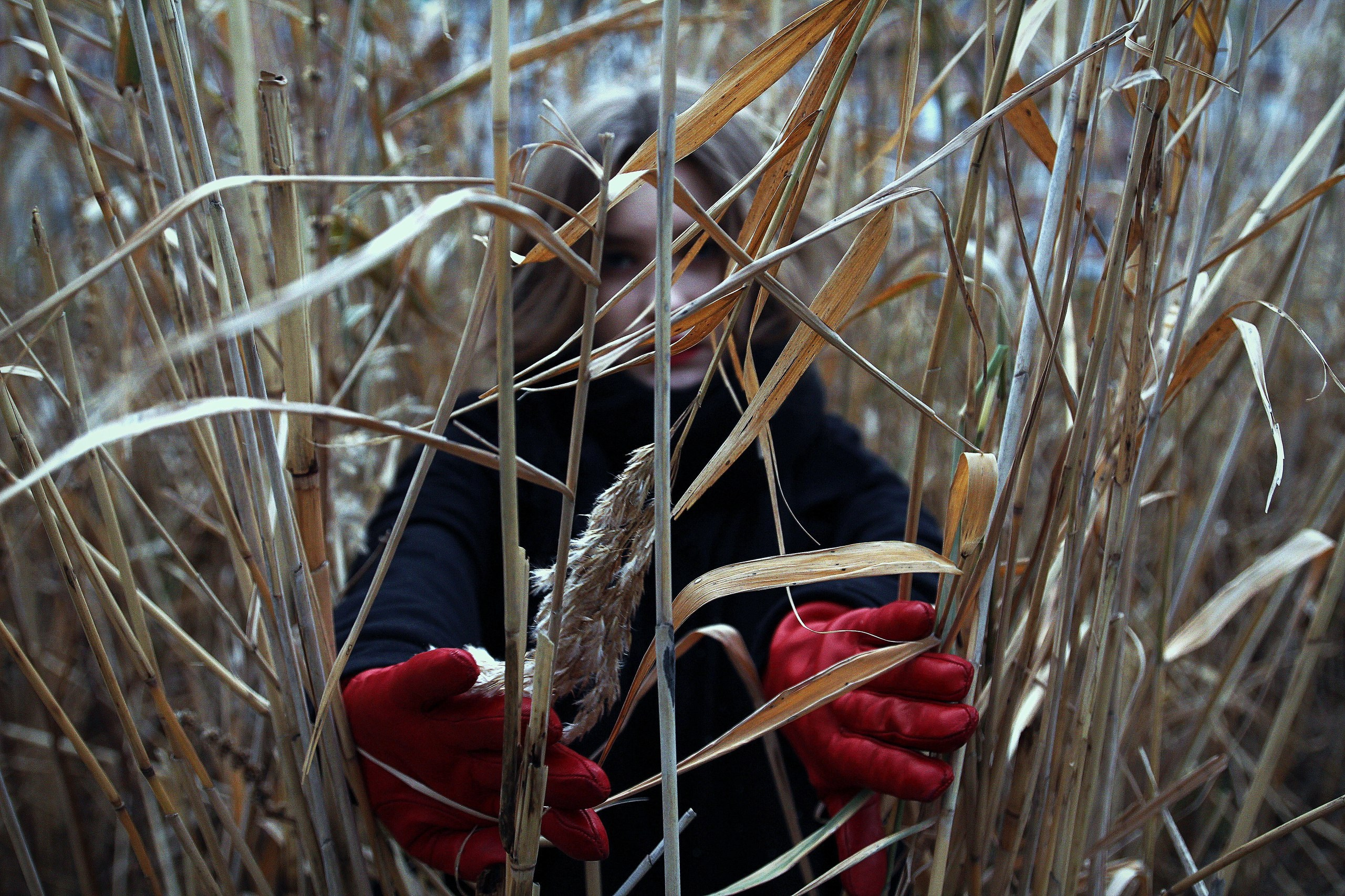 Арт | Вне серий. Серж Дробович | Фотограф | Санкт-Петербург