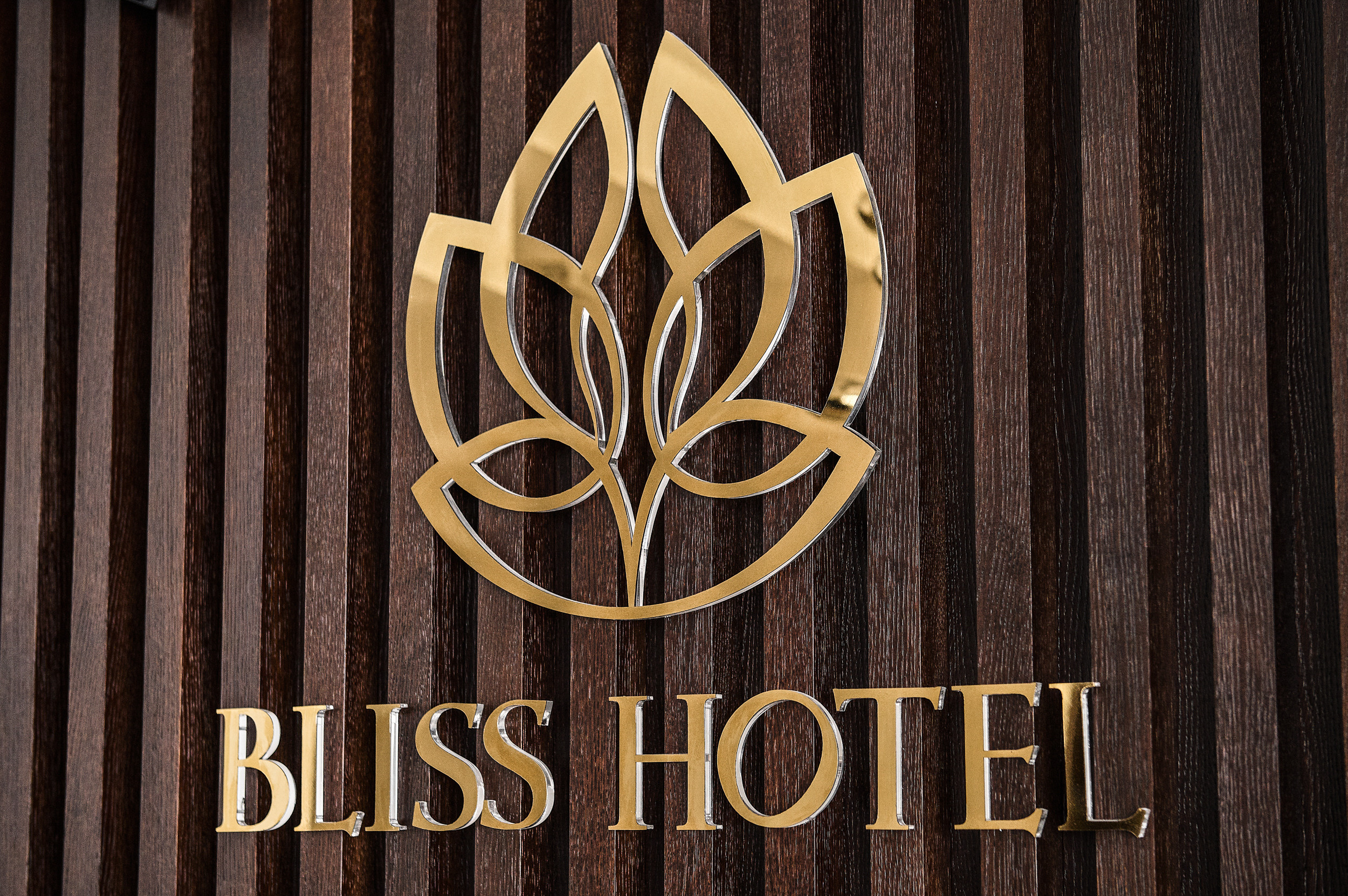 Илья и Юля 2021. Не только свадебный фотограф Чеглаков Алексей