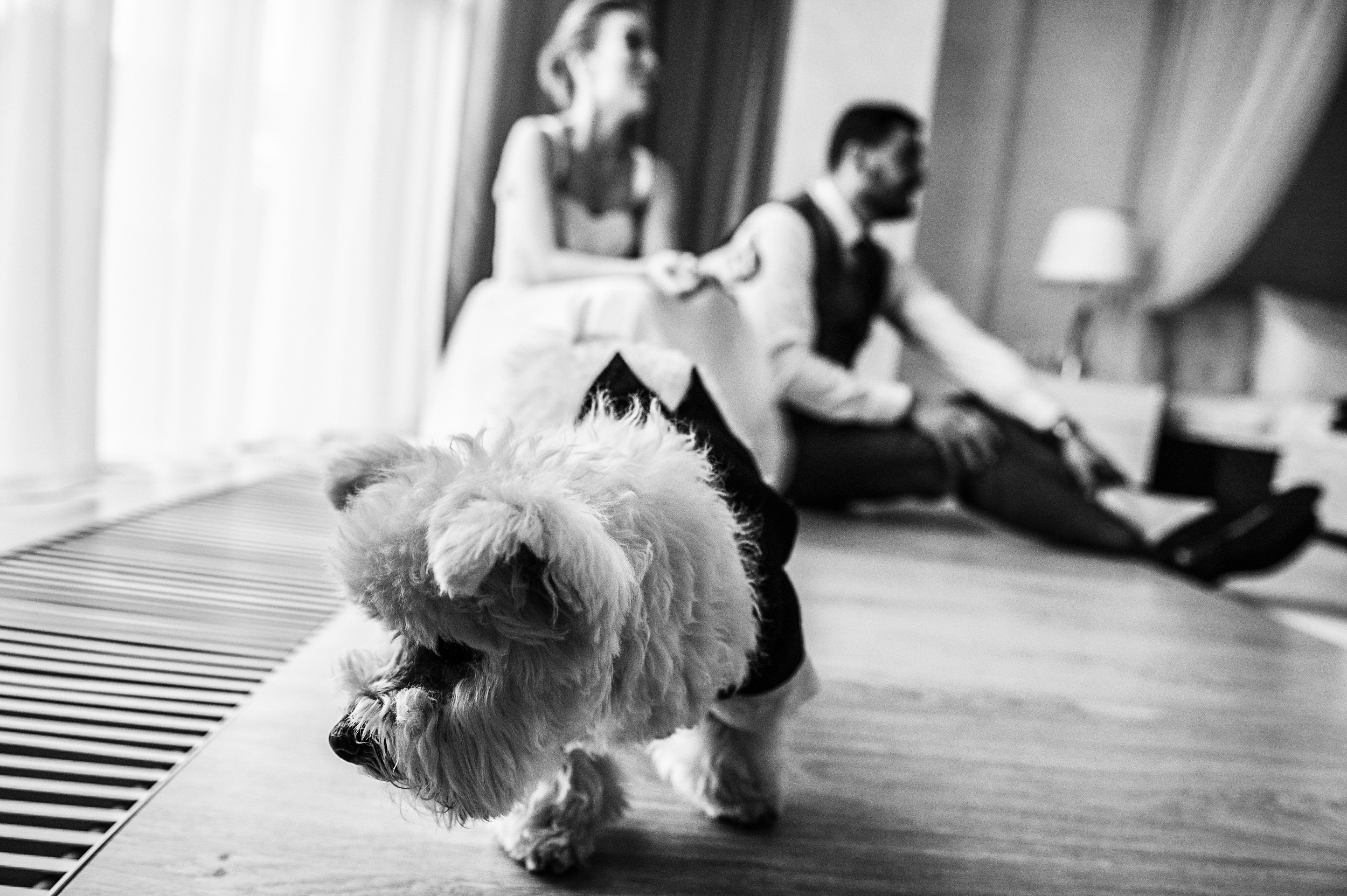 Илья и Юля 2021. Не только свадебный фотограф Чеглаков Алексей