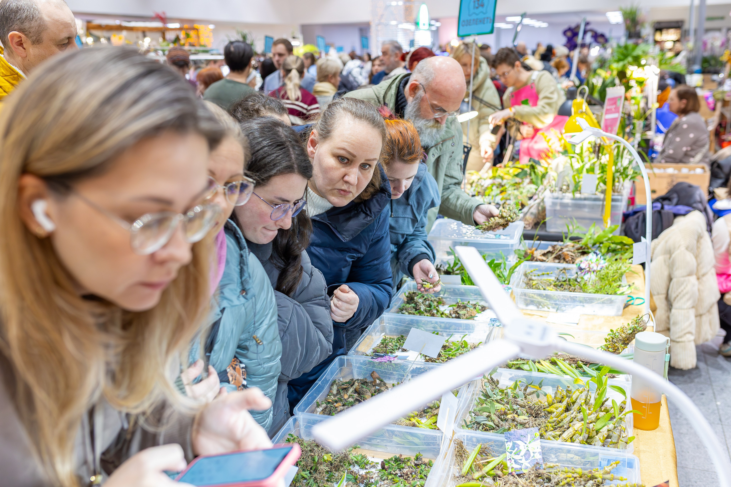 Орхидиум 12.2025. Александра Куликова фотограф, Москва