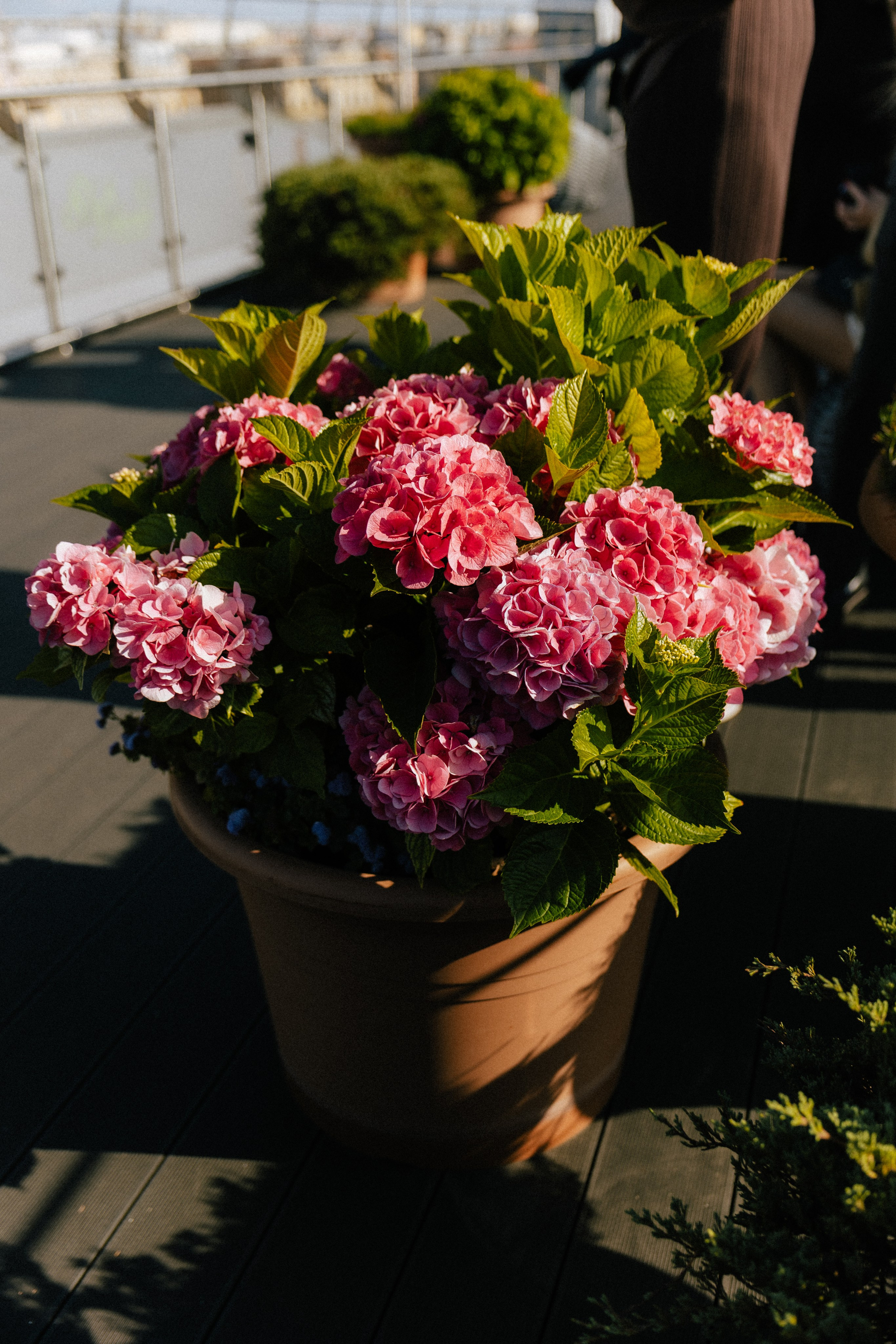 Георгий и Ольга | на счастье. Свадебный фотограф в Санкт-Петербурге Анастасия Селиванова