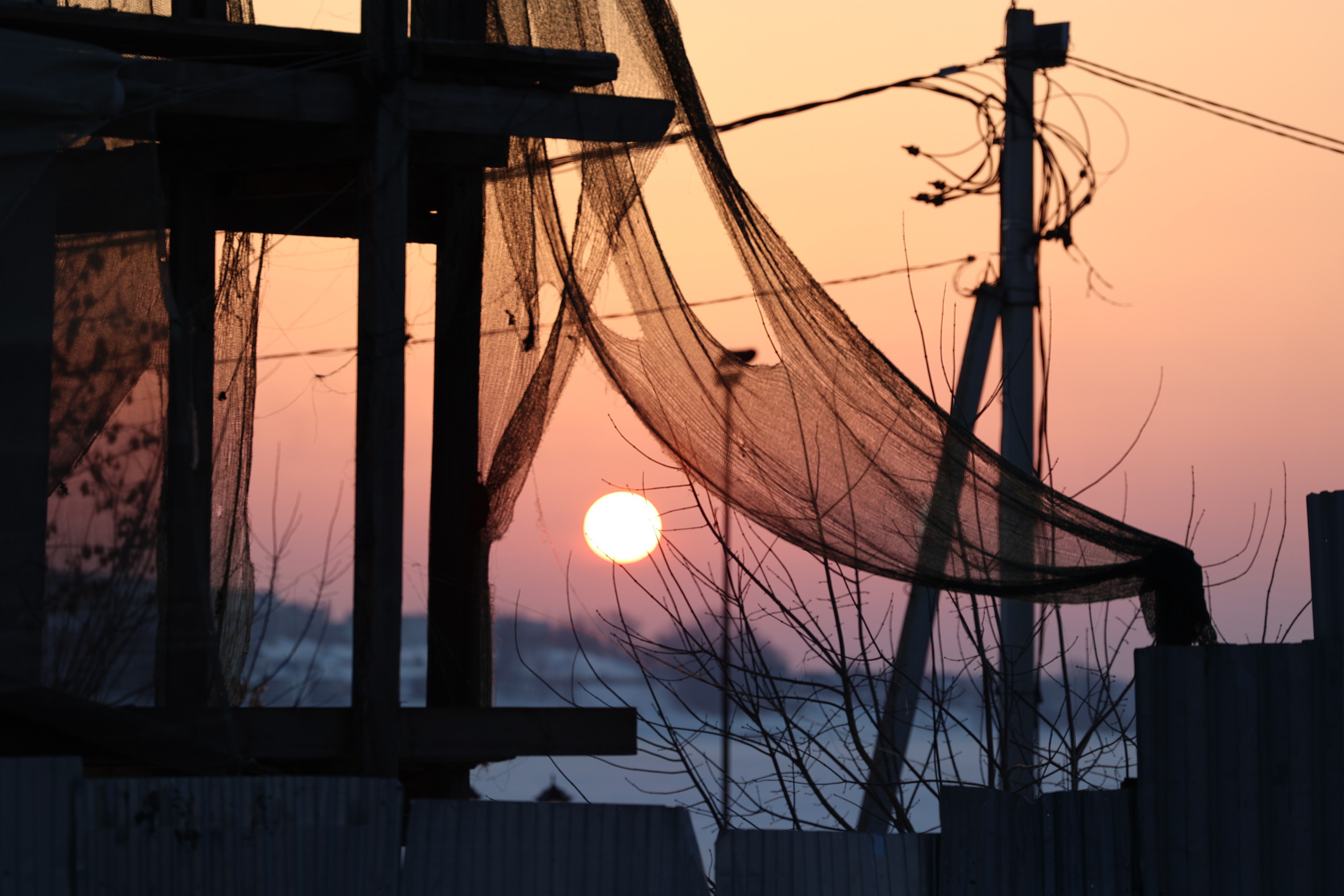 Любимое. Фотограф в Санкт-Петербурге Анна Сосновская