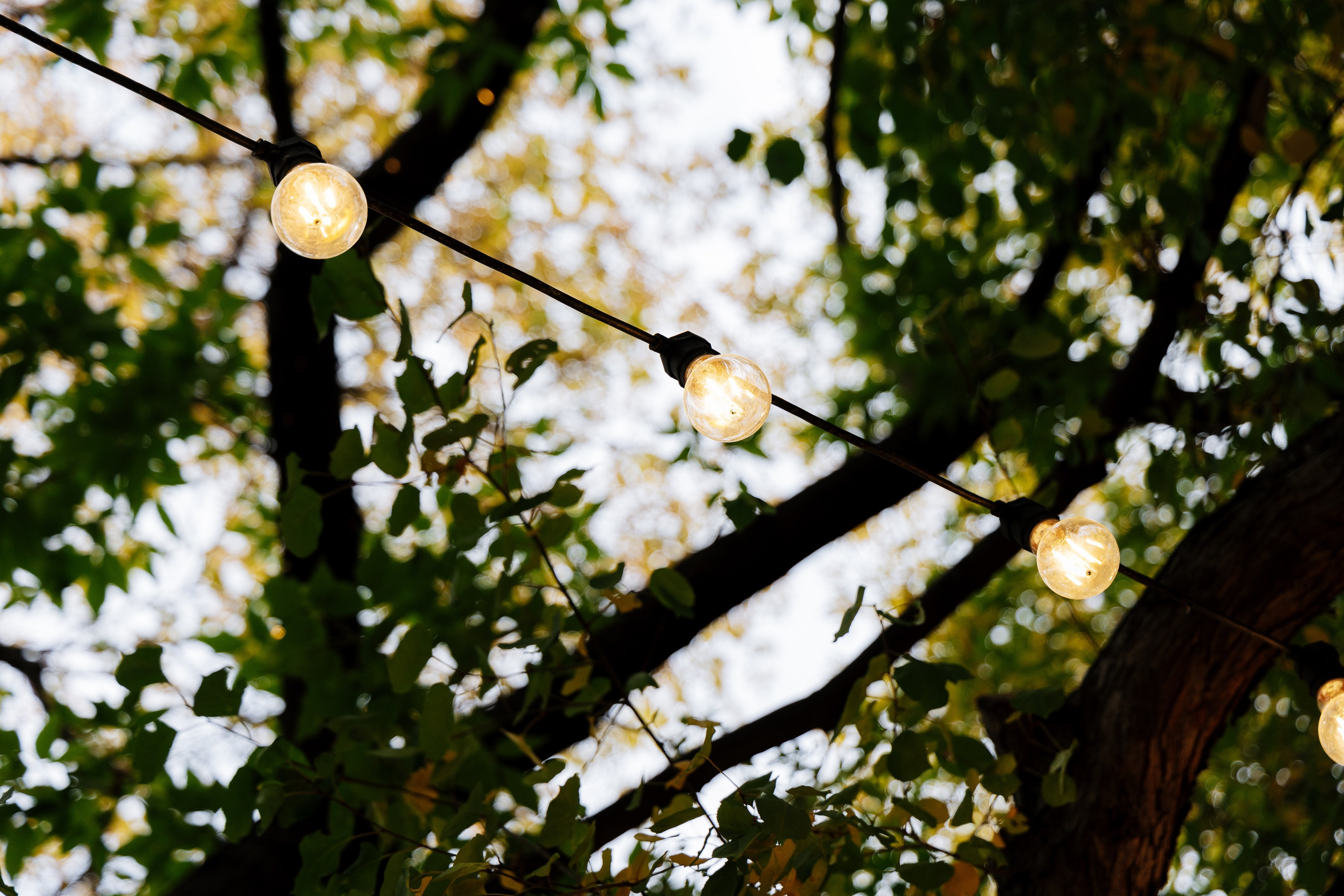 Всем свет. Свадебный и репортажный фотограф в Омске. Червоткин Никита
