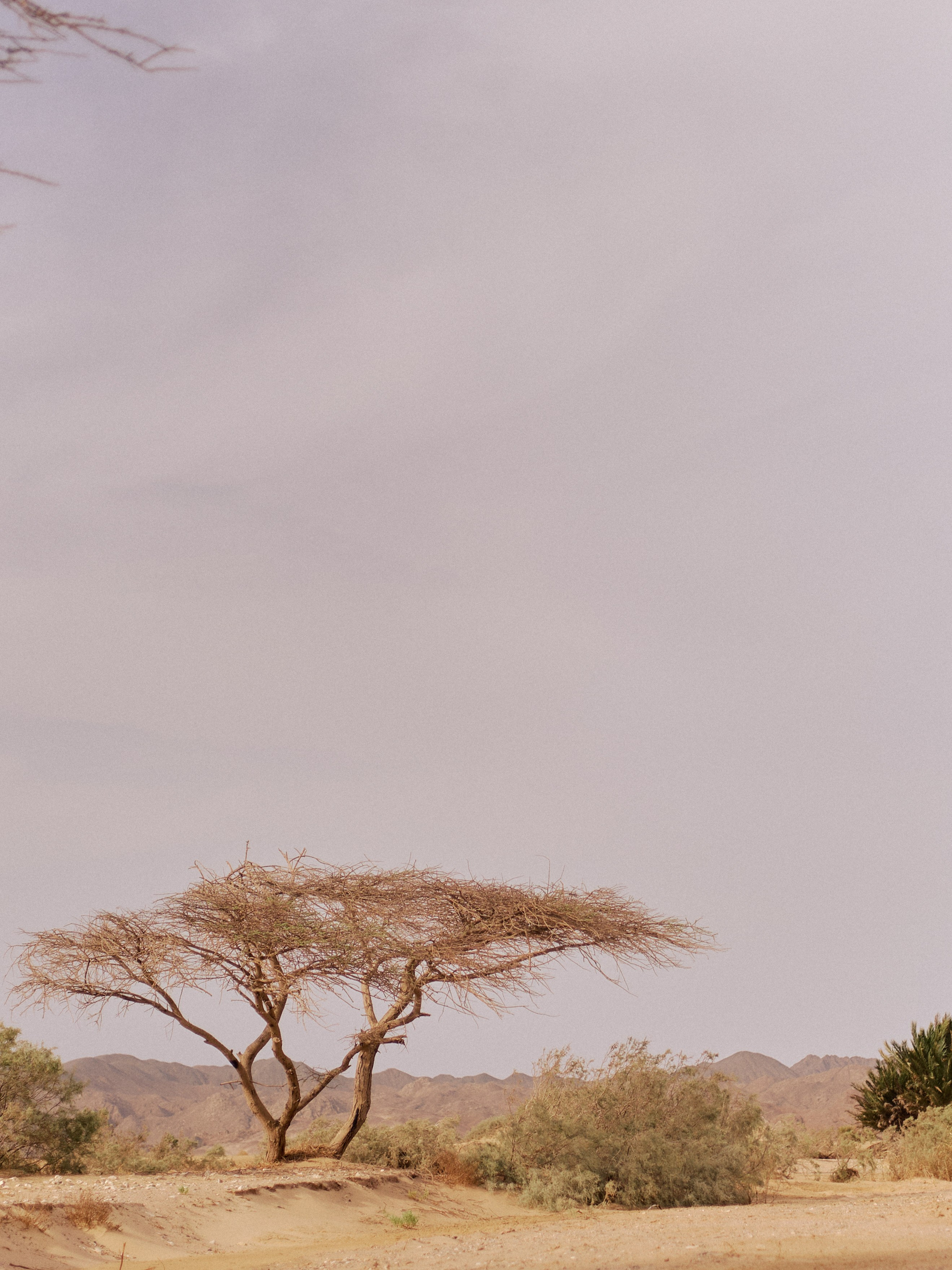 Другое 3. Jorgis Talè — photographer, kind person, teacher of arts and other mag