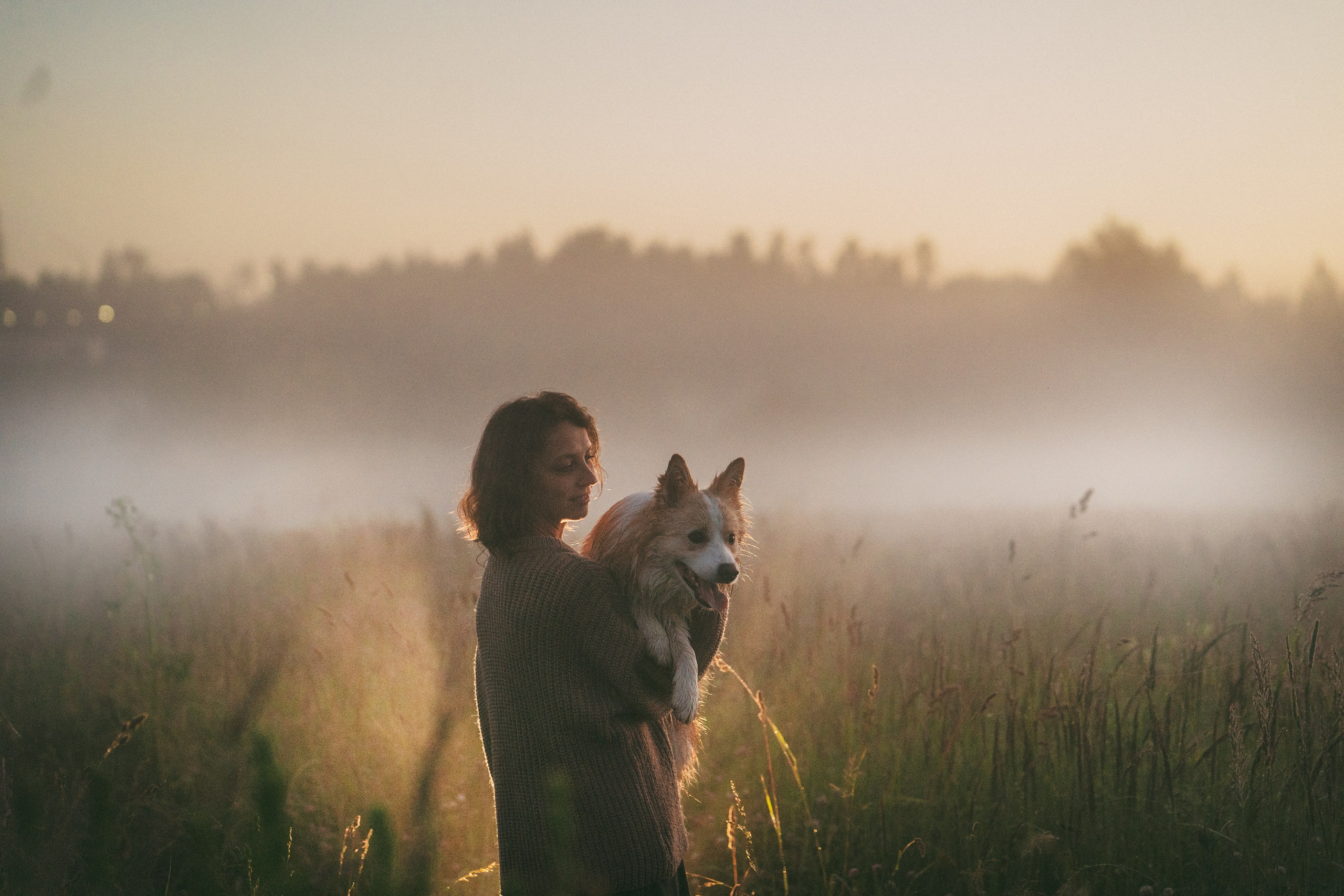 Рина и Марси. Фотограф анималист в Москве и Санкт-Петербурге Свиридова Анна