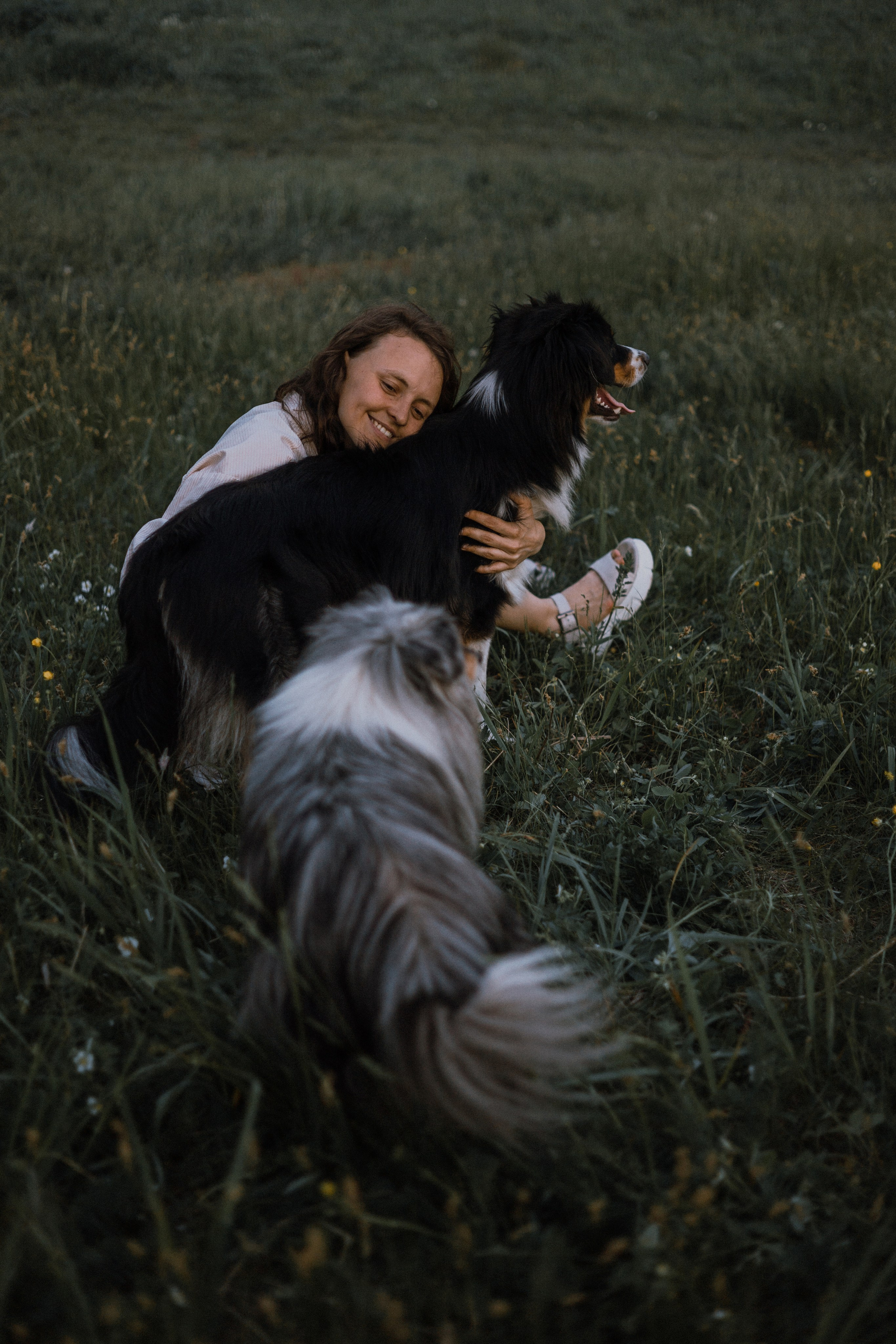 Настя, Шуня, Милка и Тигуан. Фотограф-анималист Богданова Полина