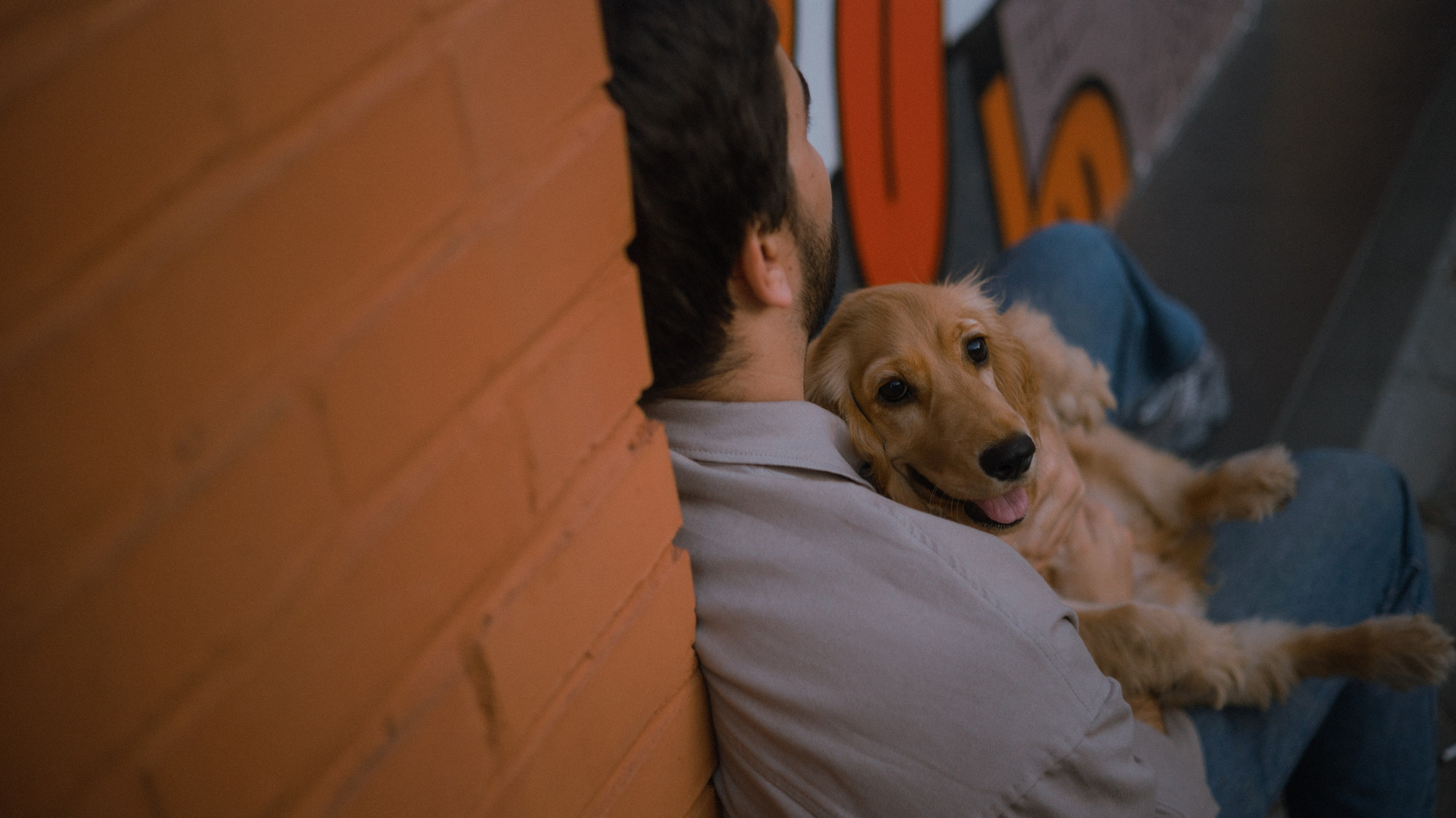 Аня, Андрей и Юта. Фотограф-анималист Богданова Полина