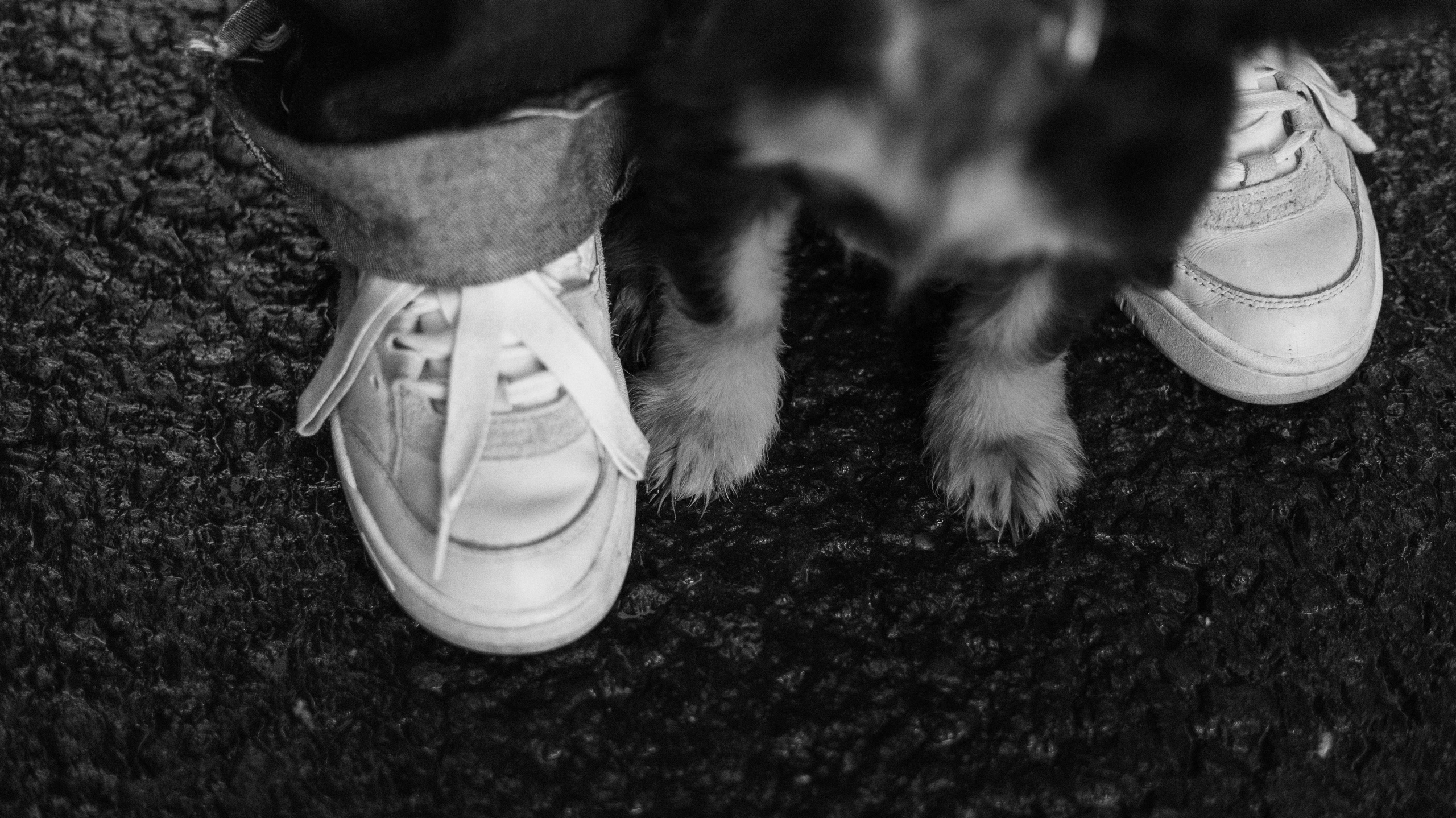 Аня и Ривер. Фотограф-анималист Богданова Полина