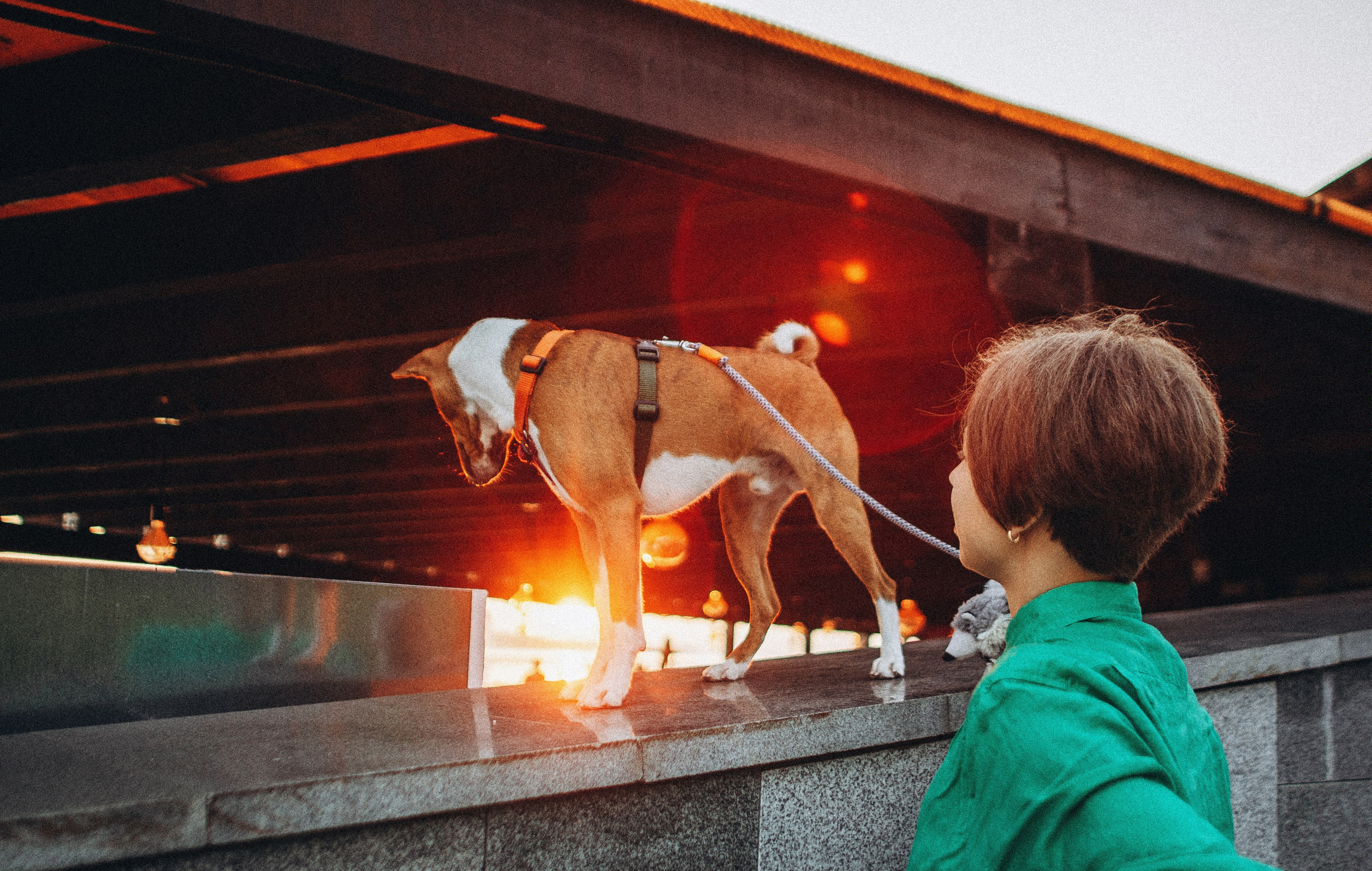 Снежана и Мэнни. Фотограф-анималист Богданова Полина
