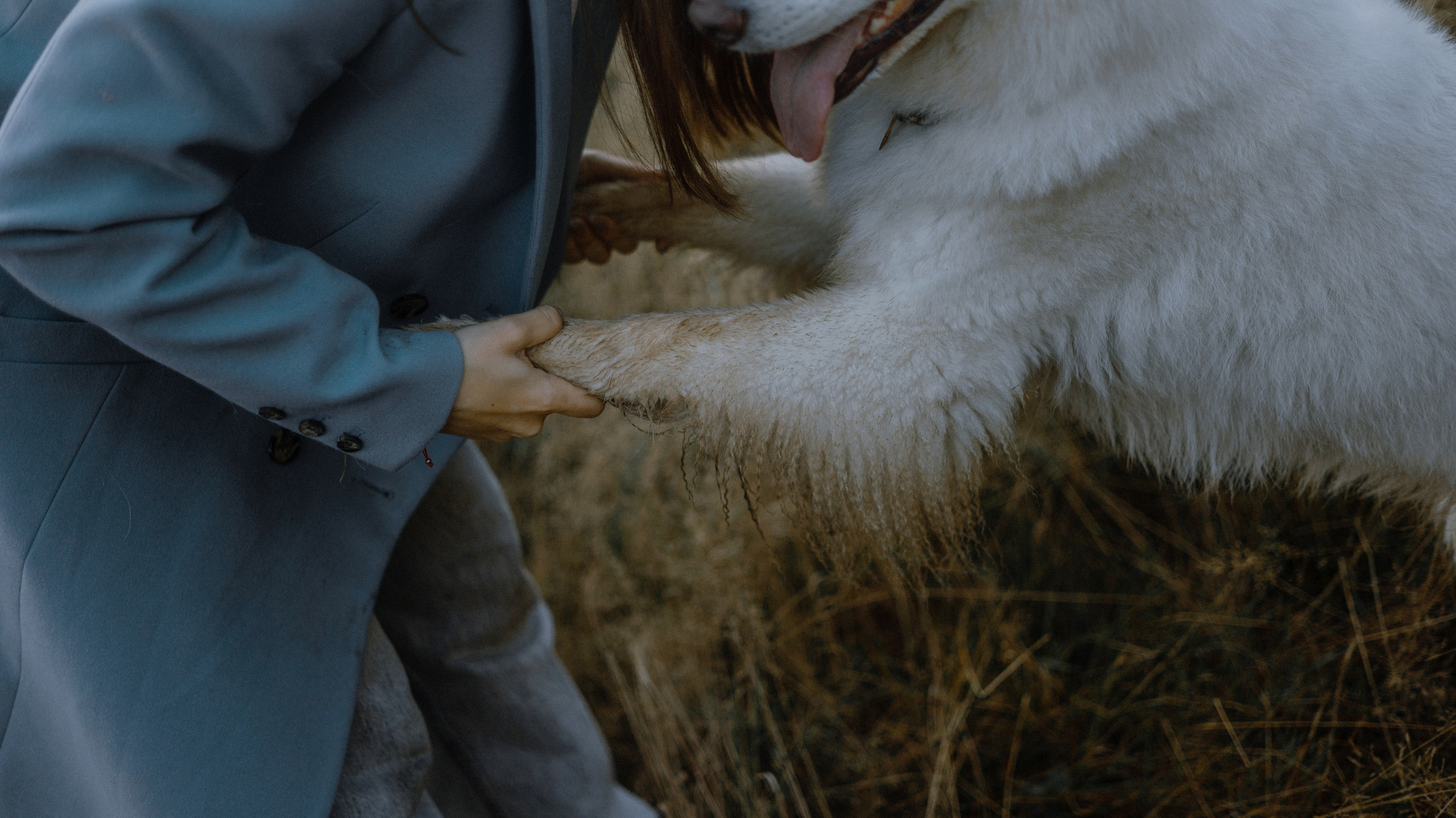 Вика и Уля. Фотограф-анималист Богданова Полина