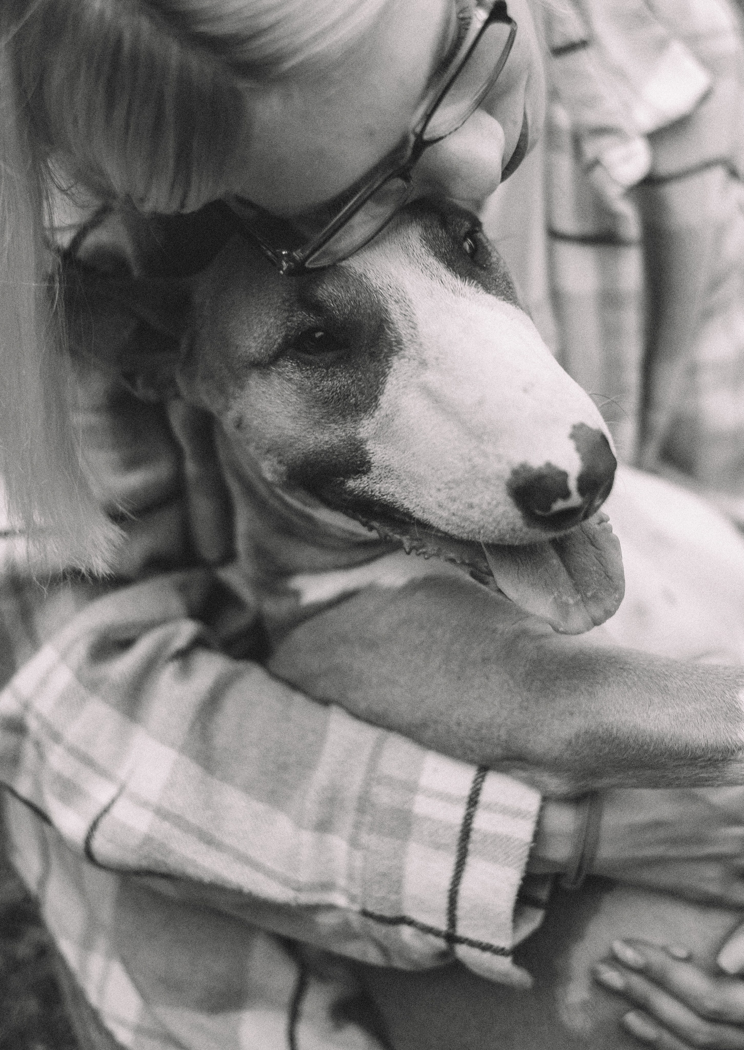 Маша и Рулька. Фотограф-анималист Богданова Полина