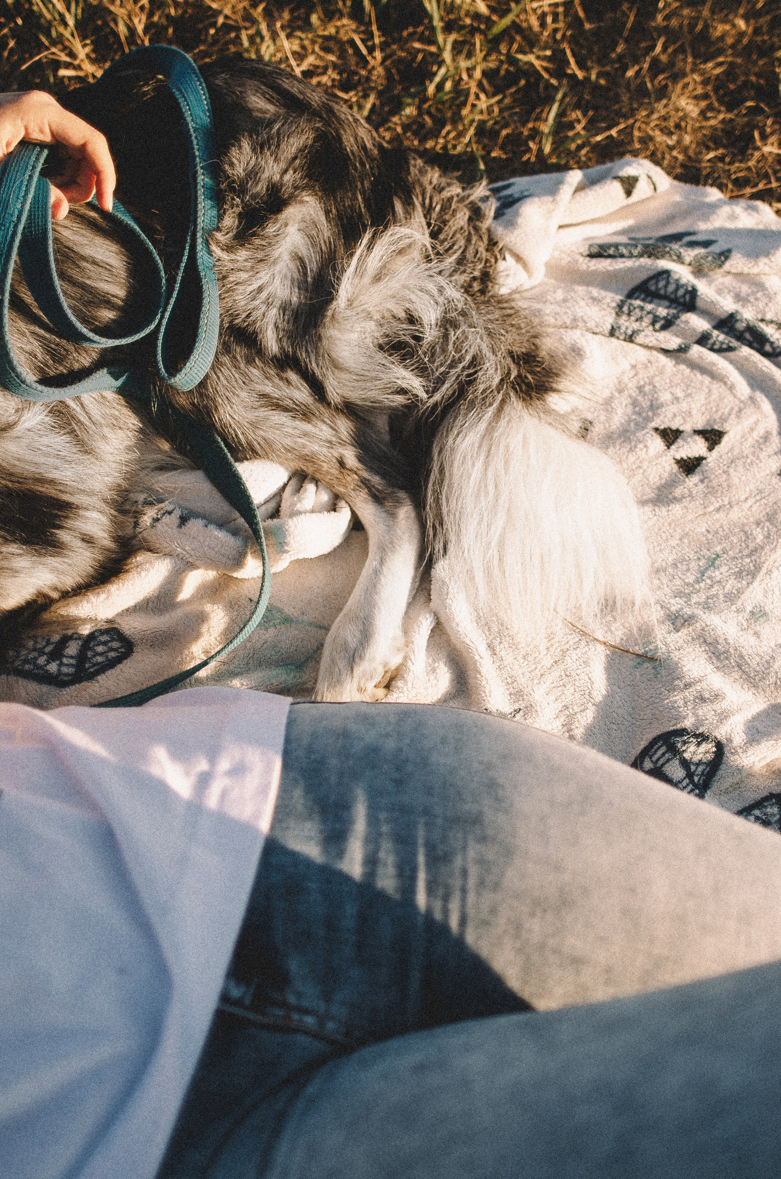 Таня и Бриллиант. Фотограф-анималист Богданова Полина