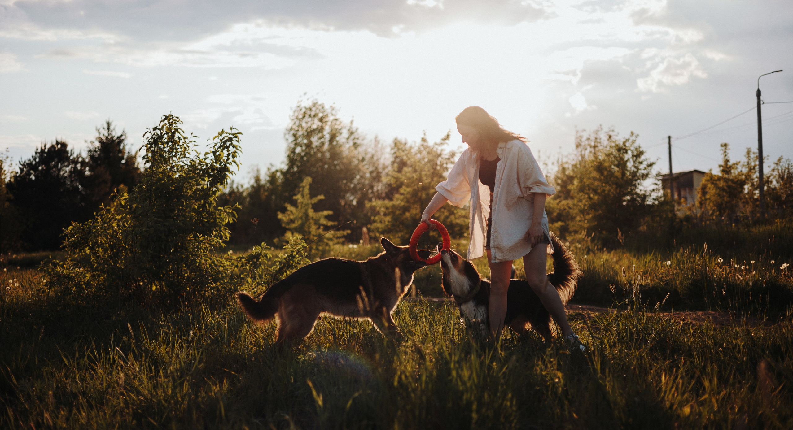 Настя, Шуня, Милка и Тигуан. Фотограф-анималист Богданова Полина