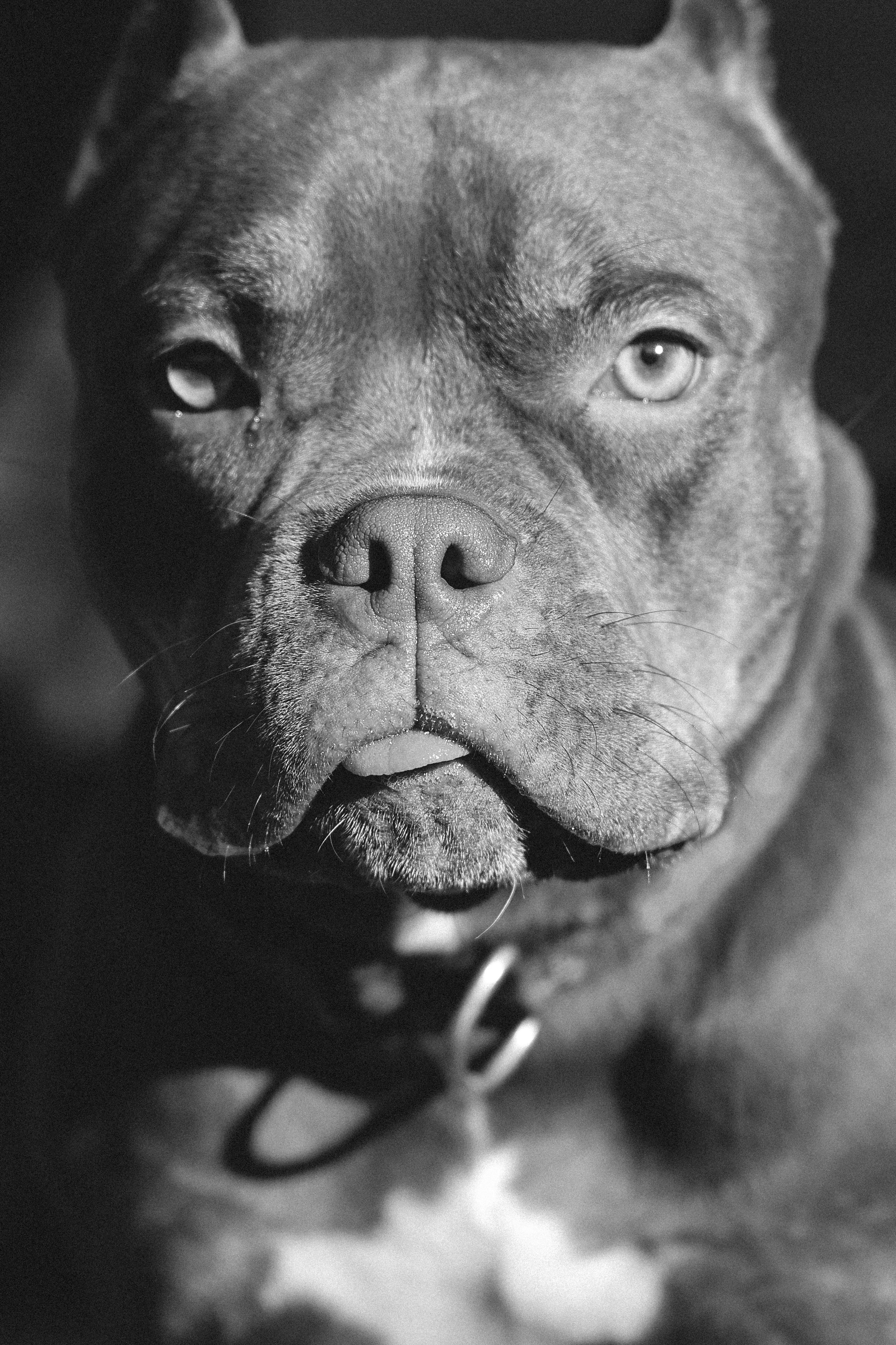 Амина. Валерия Гуртовая | Фотограф, Санкт-Петербург