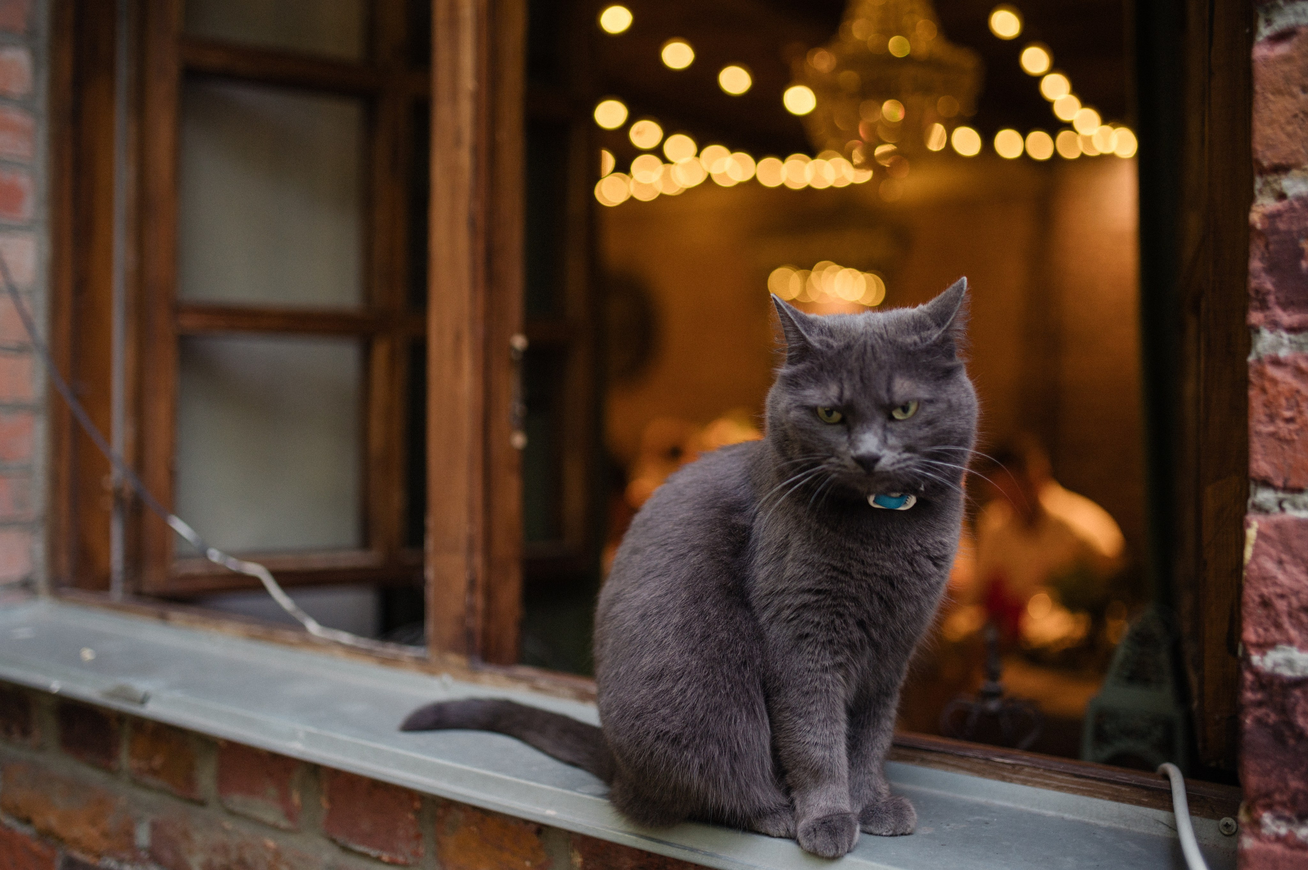Слово о любви. Свадебный фотограф в Москве Юлия Лисой