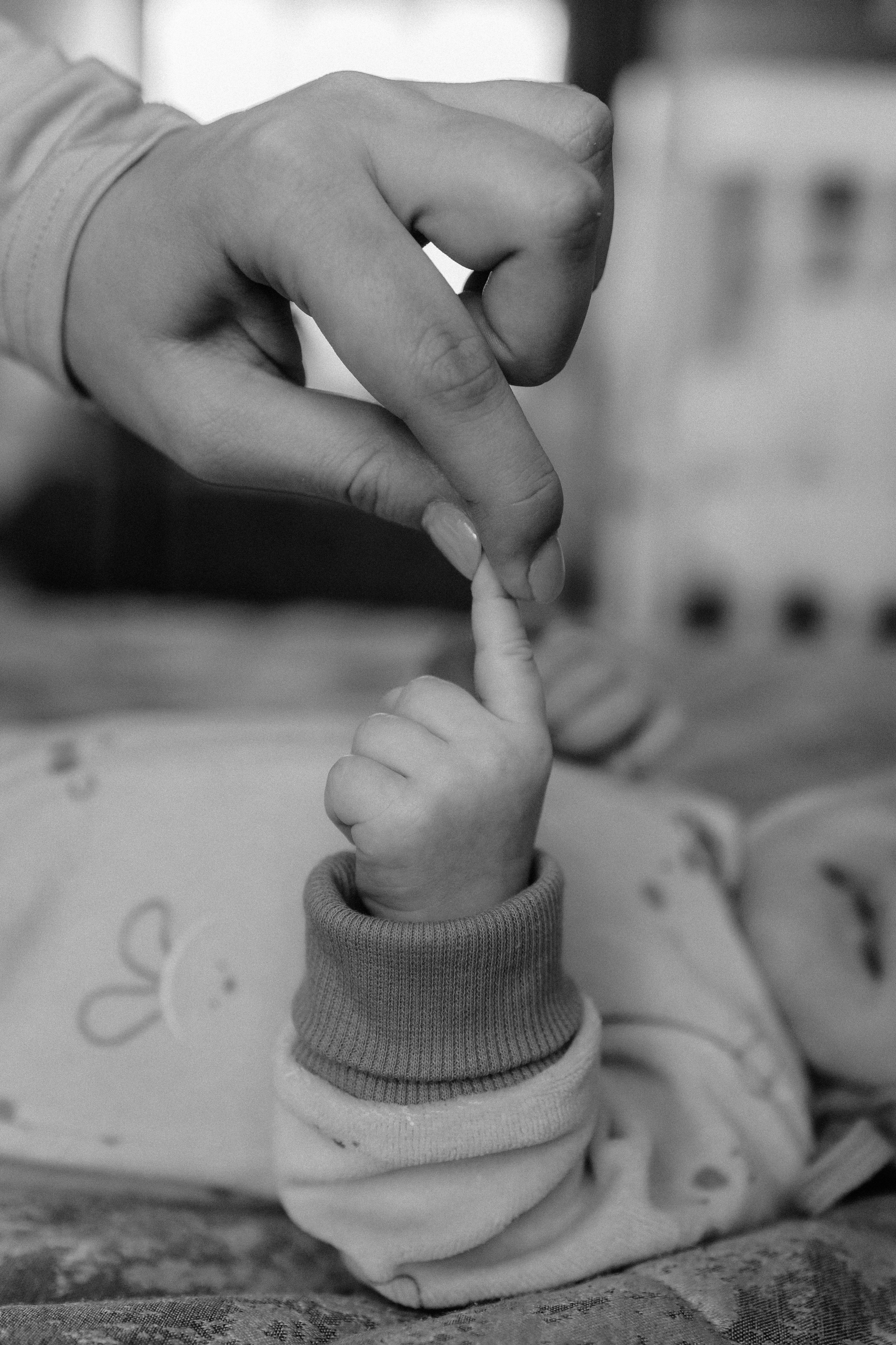 Семейная. Фотограф Францова Полина